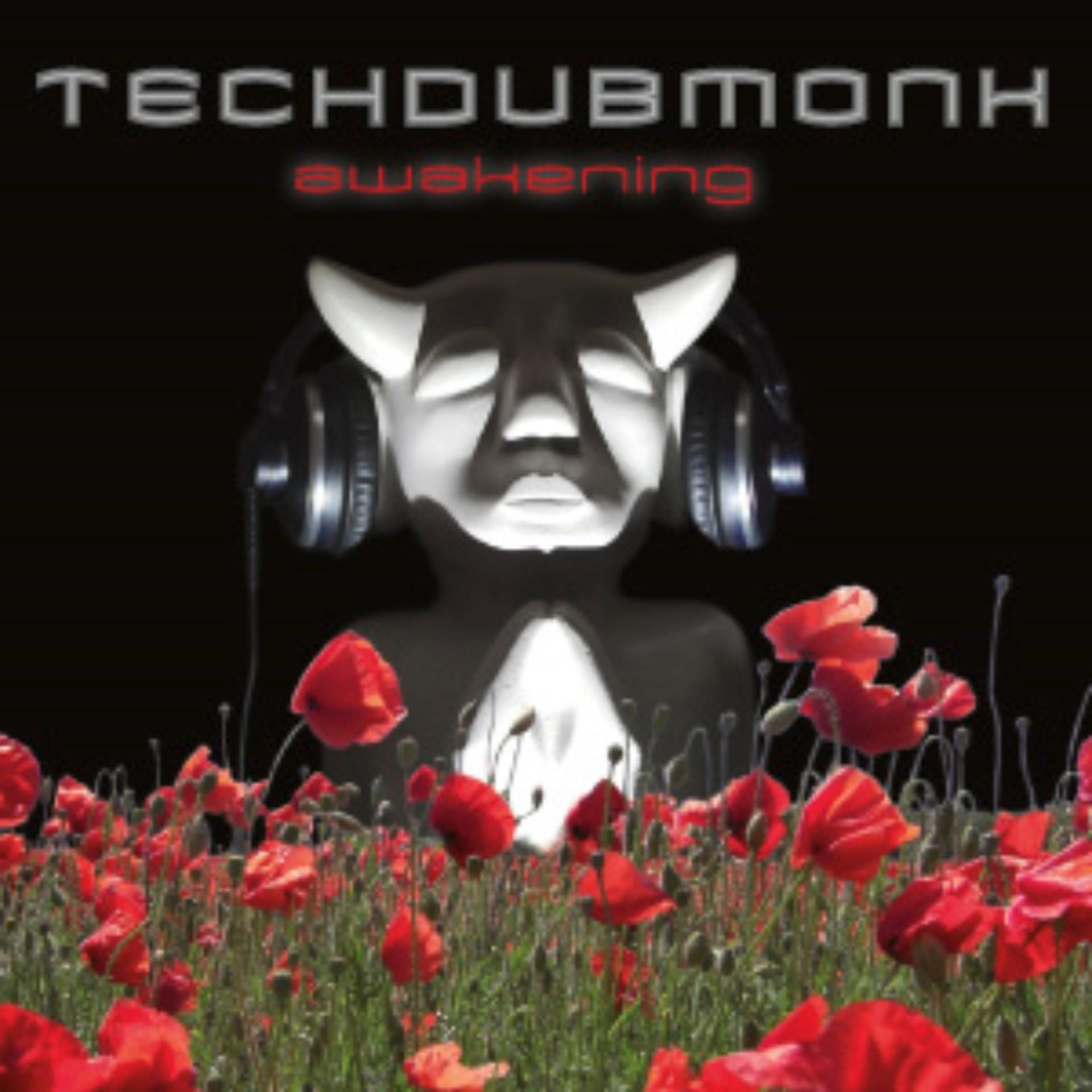 Постер альбома Techdubmonk - Awakening