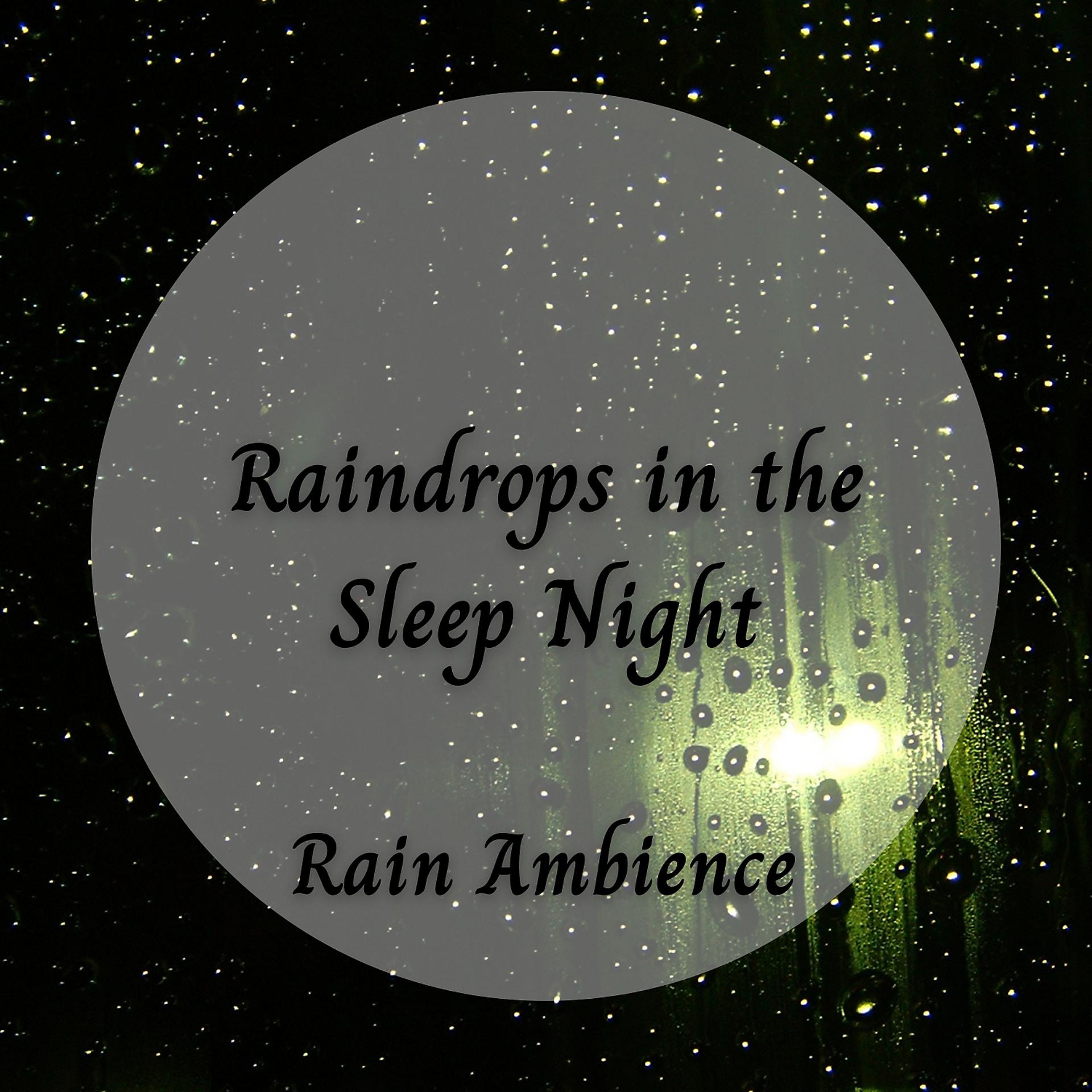 Постер альбома Ambience Rain: Raindrops in the Sleep Night