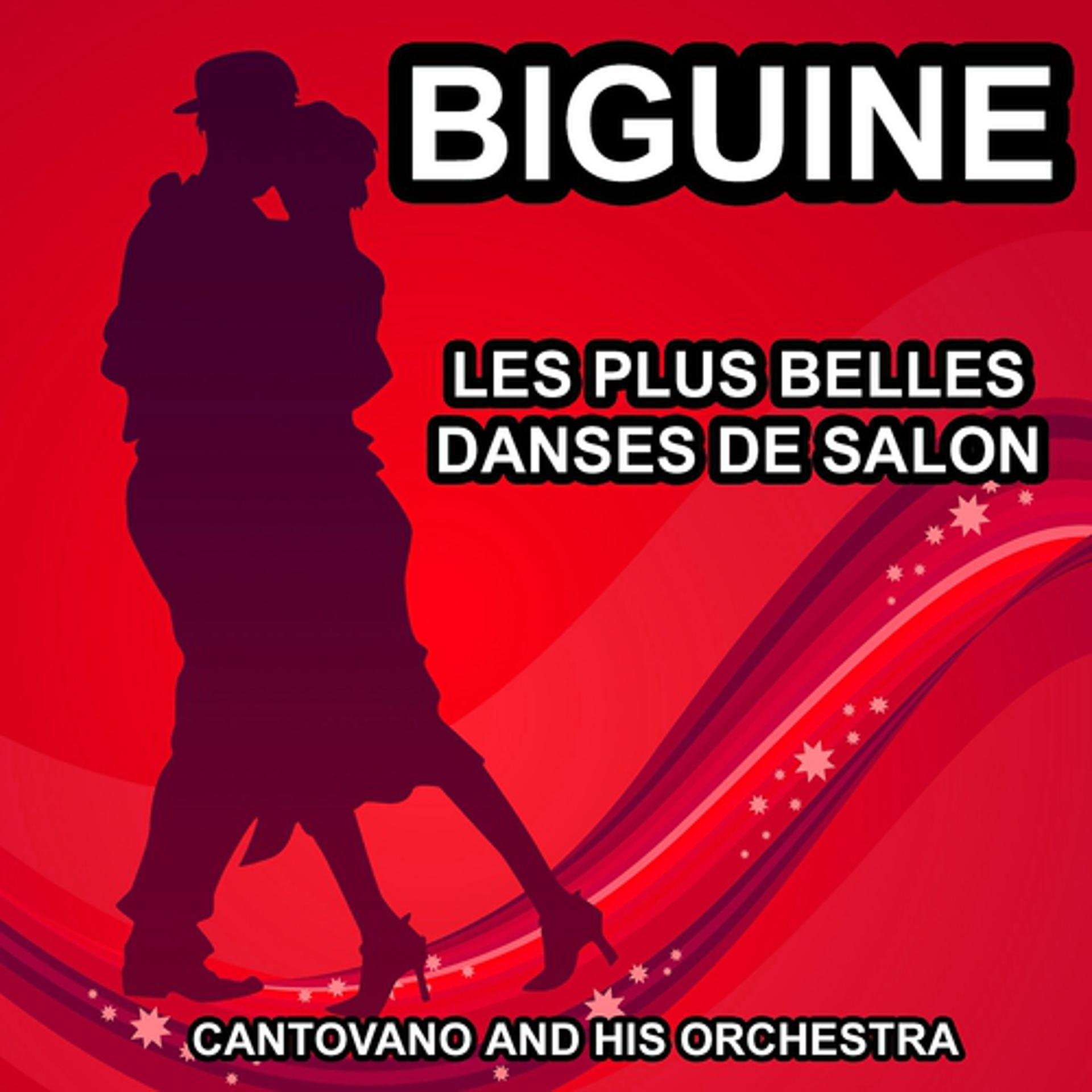 Постер альбома Les plus belles danses de salon : Biguine