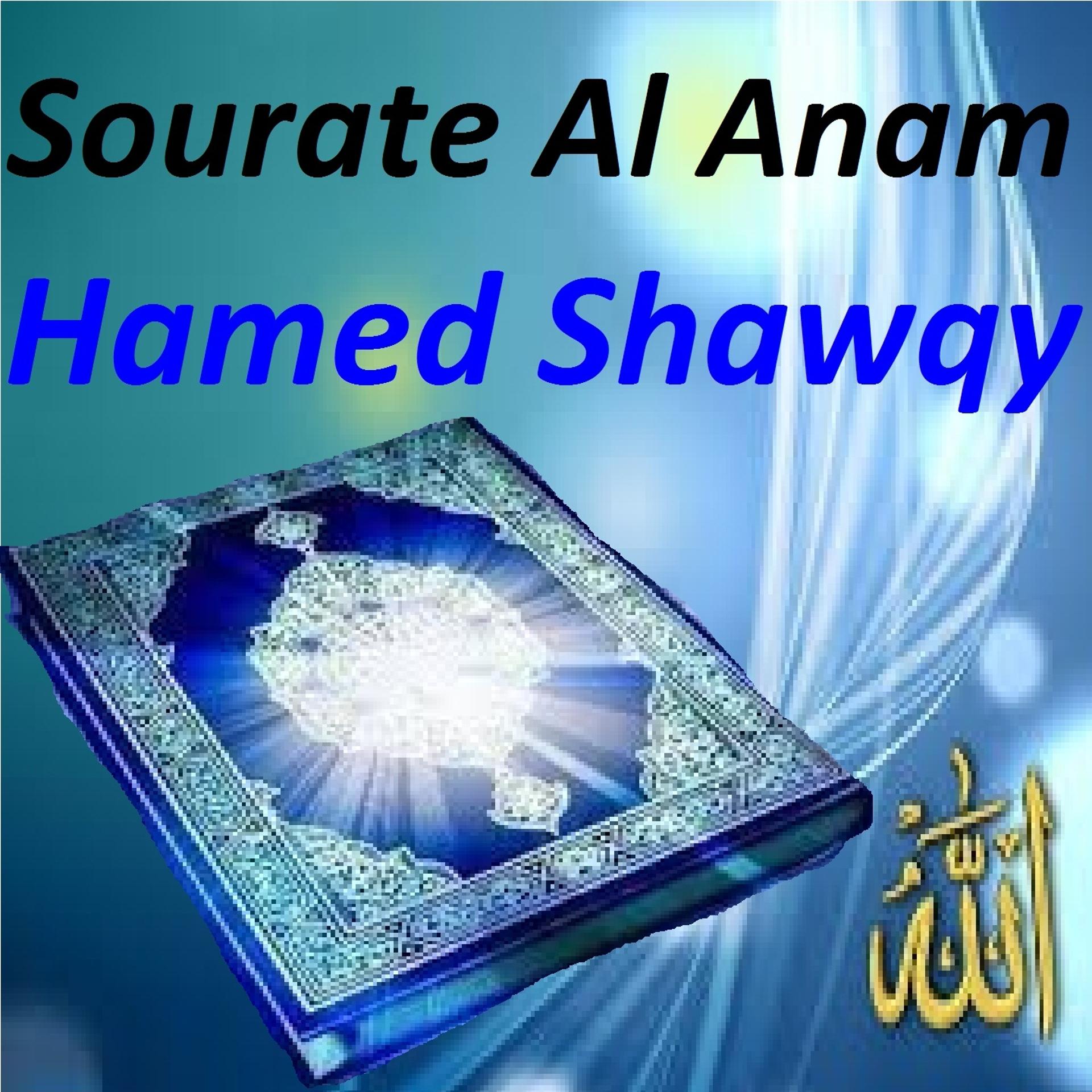 Постер альбома Sourate Al Anam