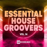 Постер альбома Essential House Groovers, Vol. 14
