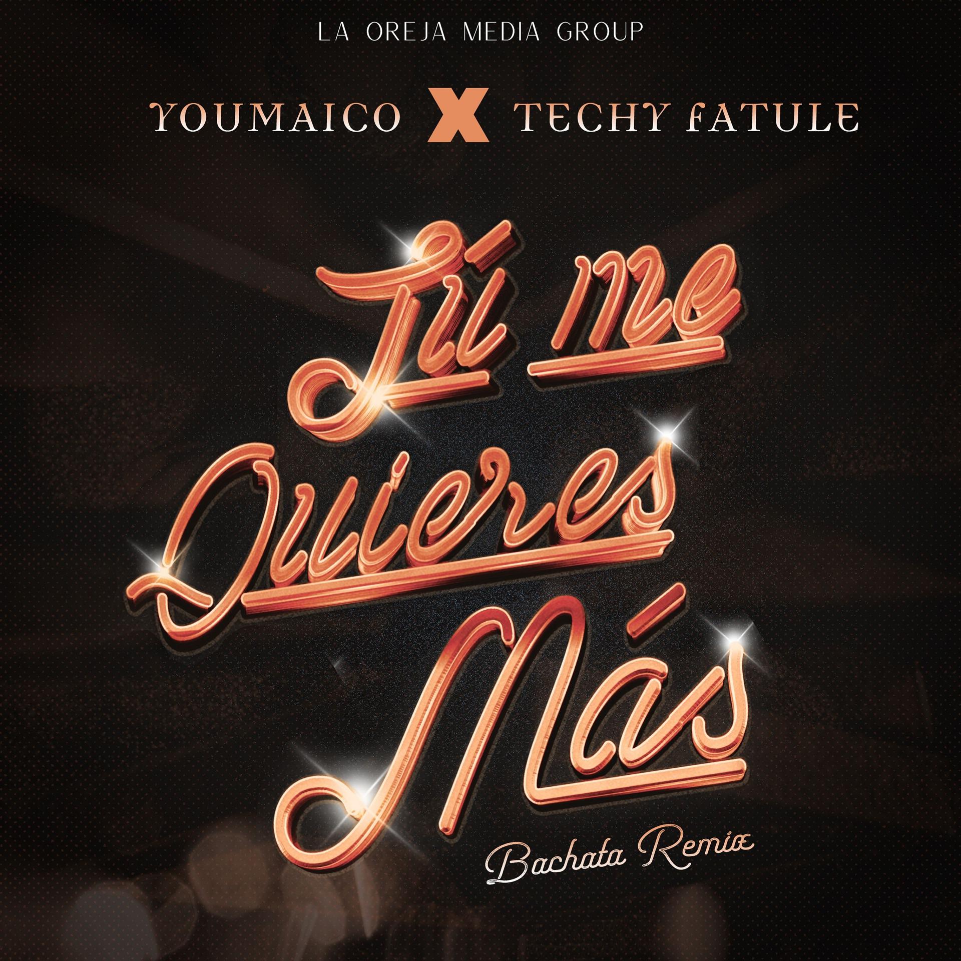 Постер альбома Tú Me Quieres Más (Bachata Remix)