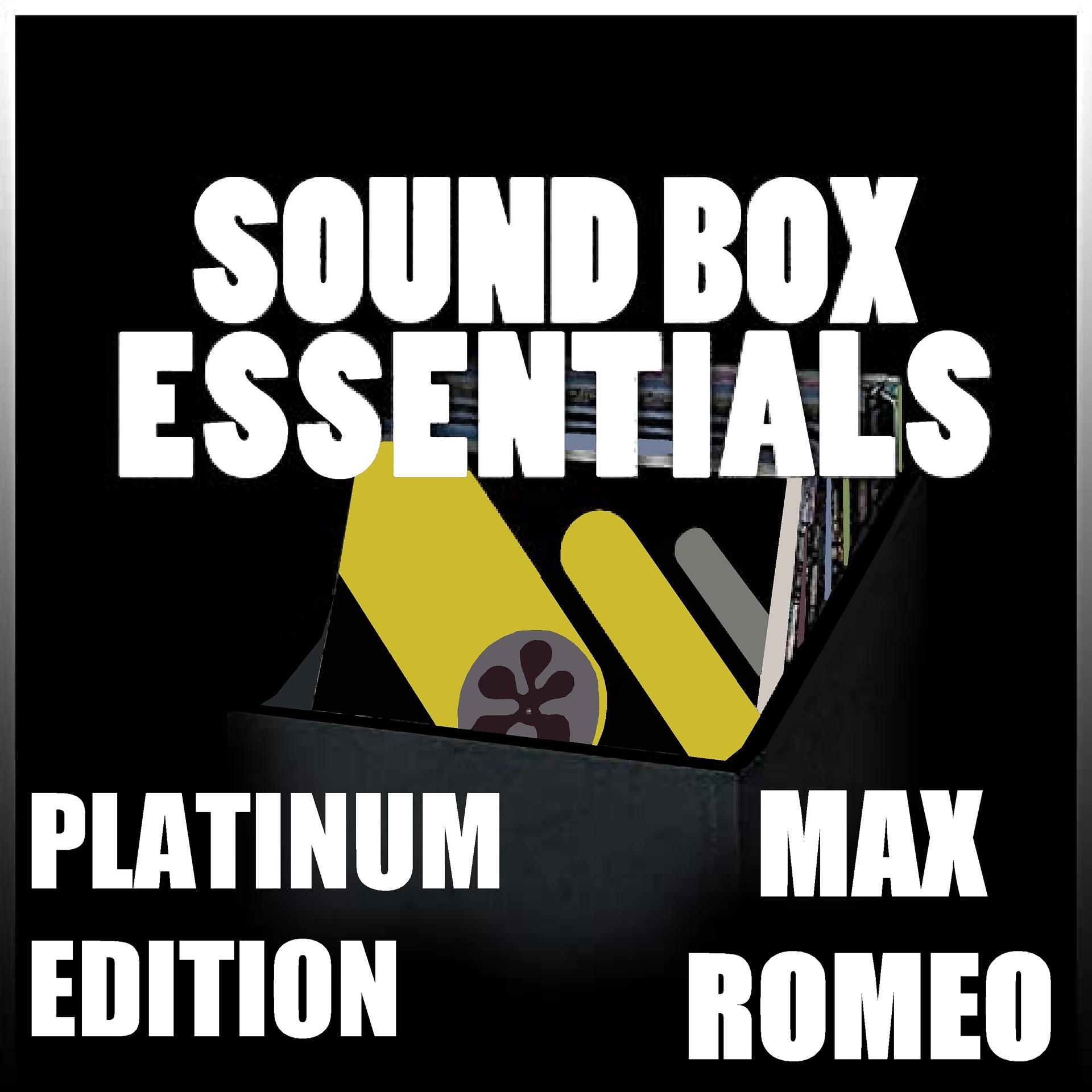 Постер альбома Sound Box Essentials Platinum Edition