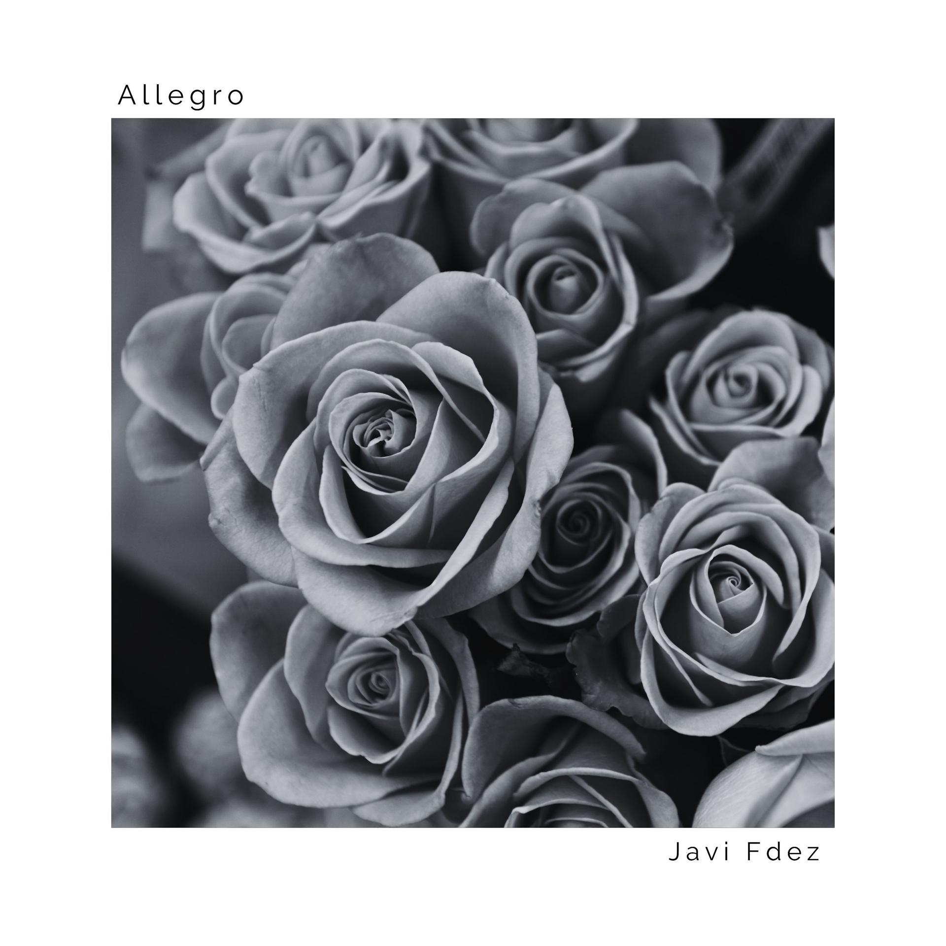 Постер альбома Allegro