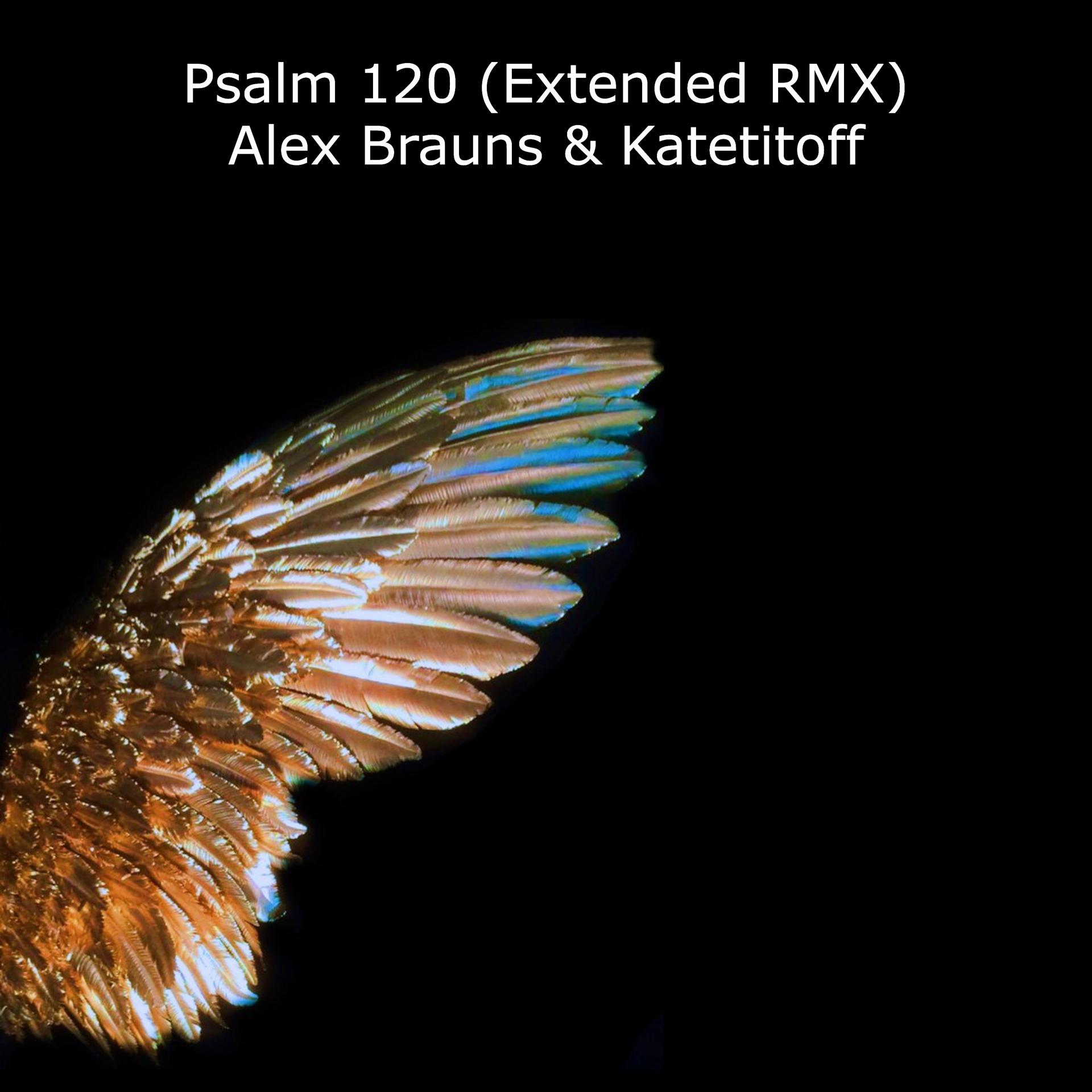 Постер альбома Psalm 120 (Extended Rmx)
