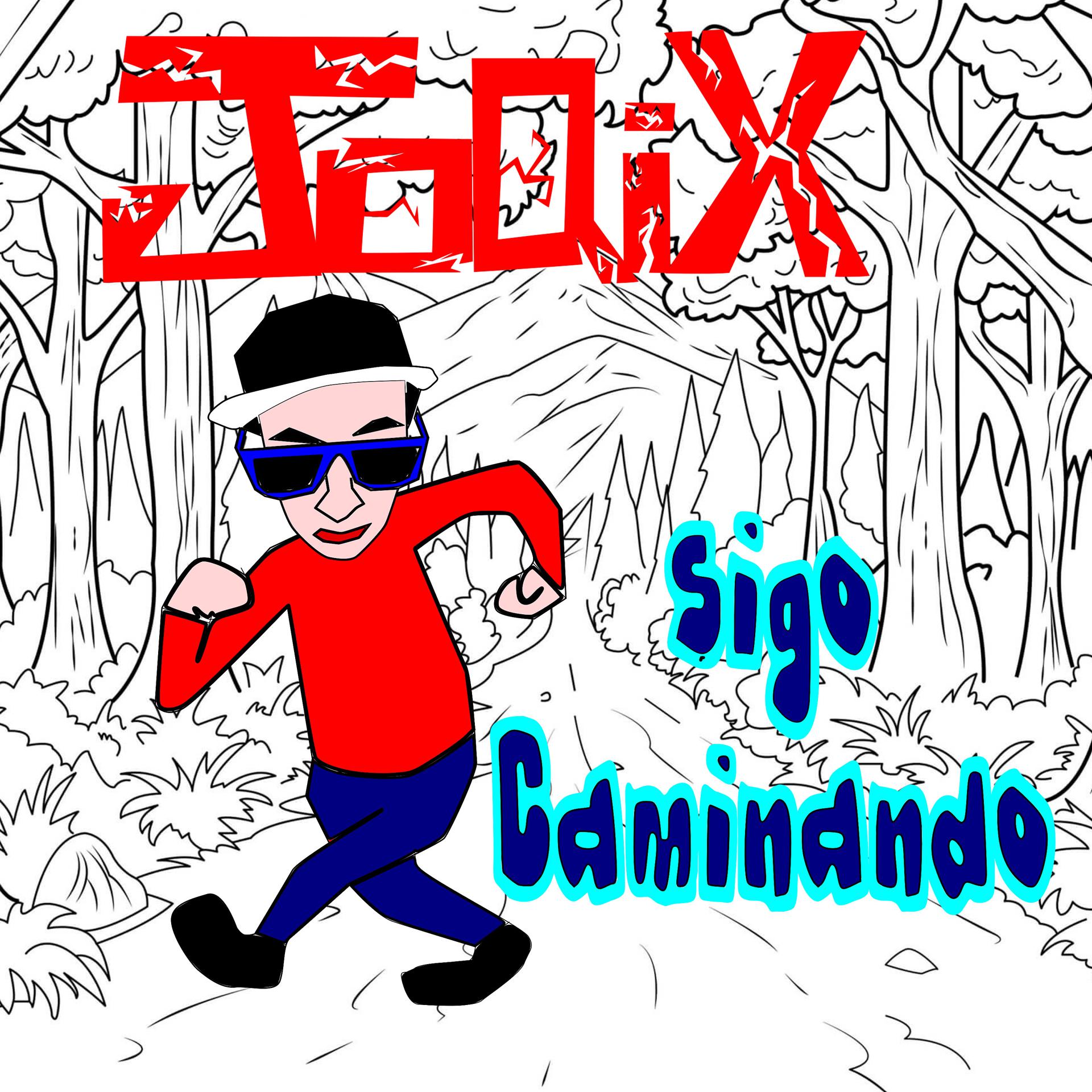 Постер альбома Sigo Caminando