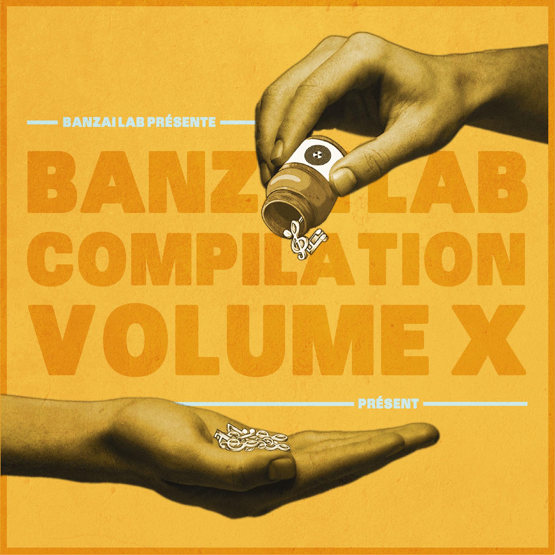 Постер альбома Banzai Lab Compilation X (Présent)