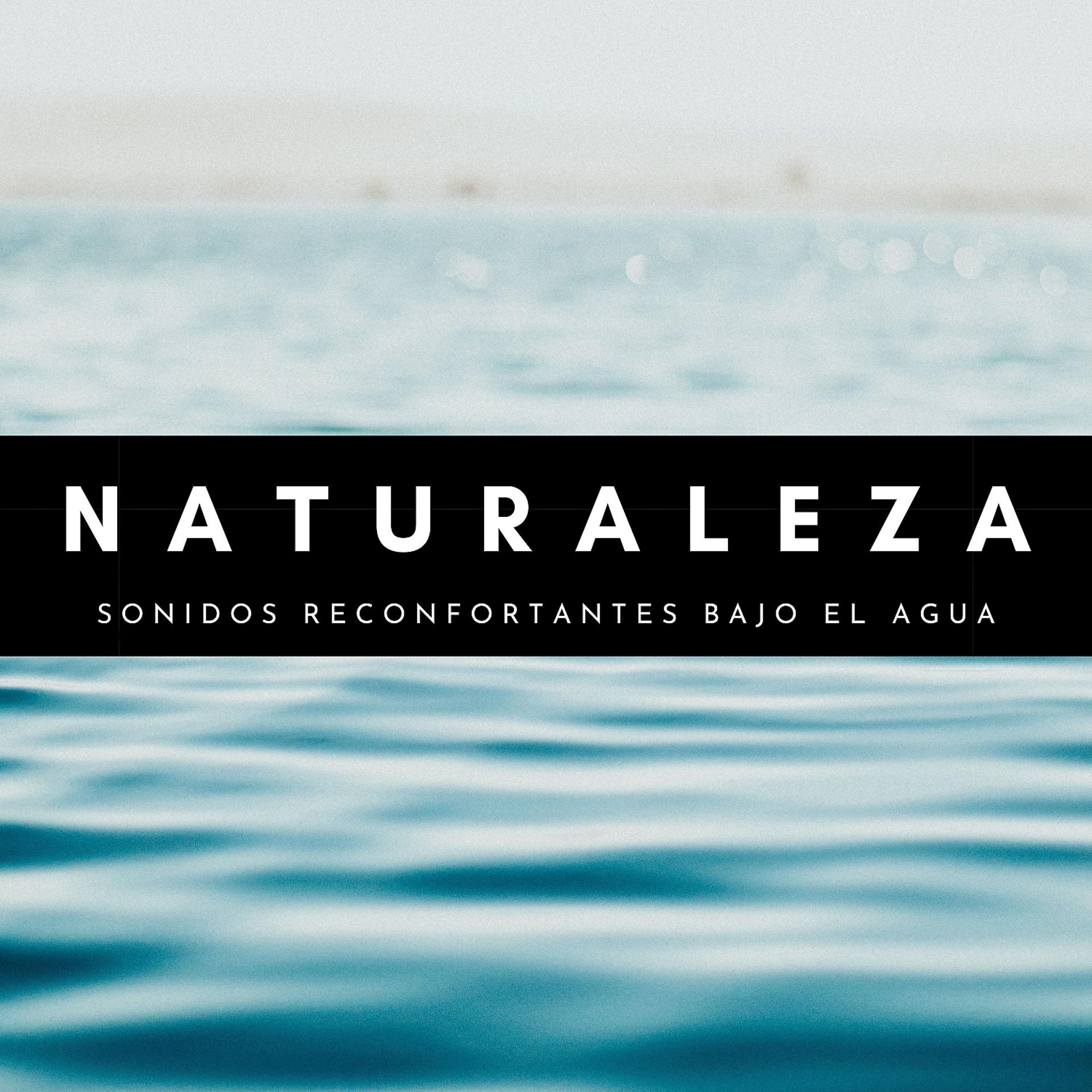 Постер альбома Naturaleza: Sonidos Reconfortantes Bajo El Agua