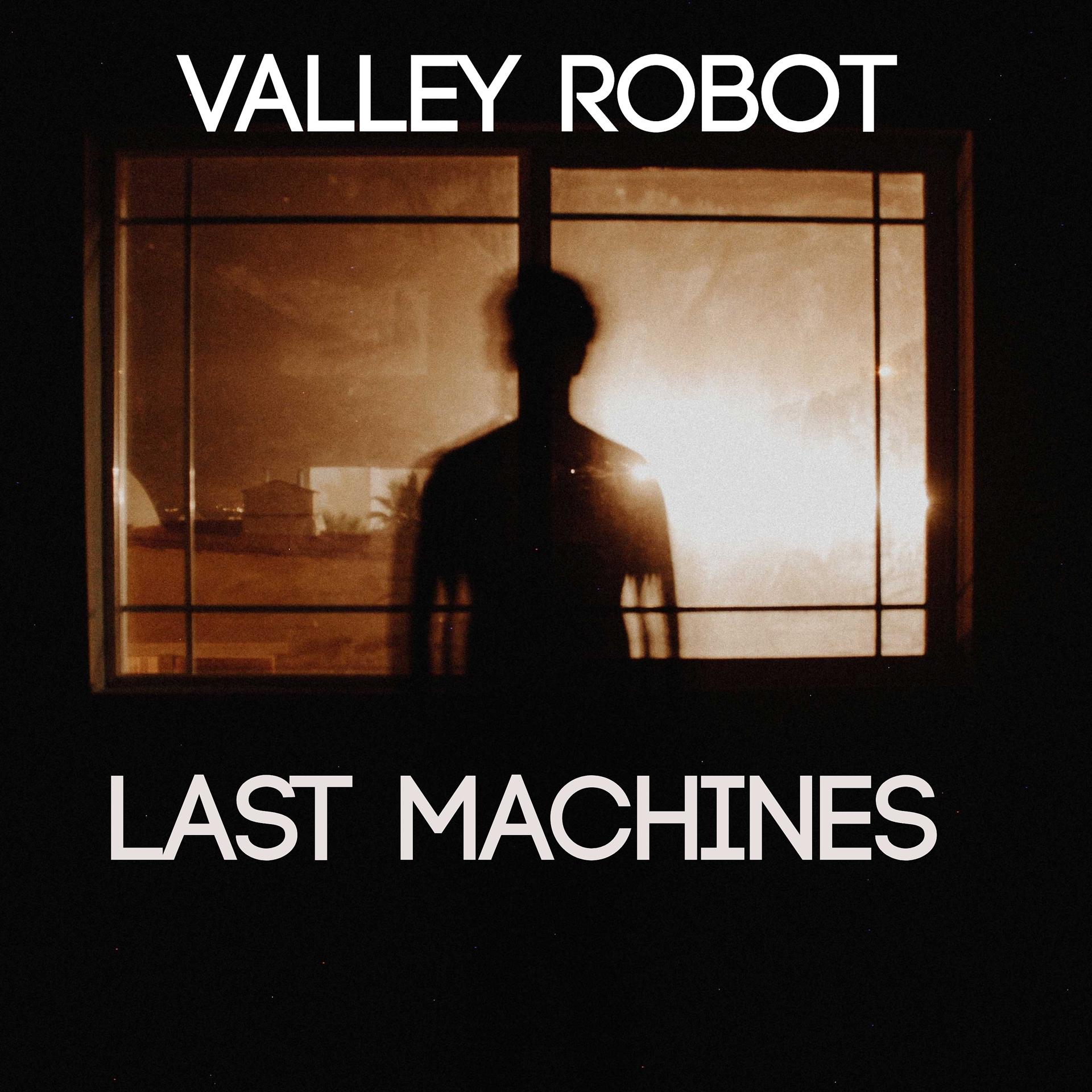 Постер альбома Last Machines