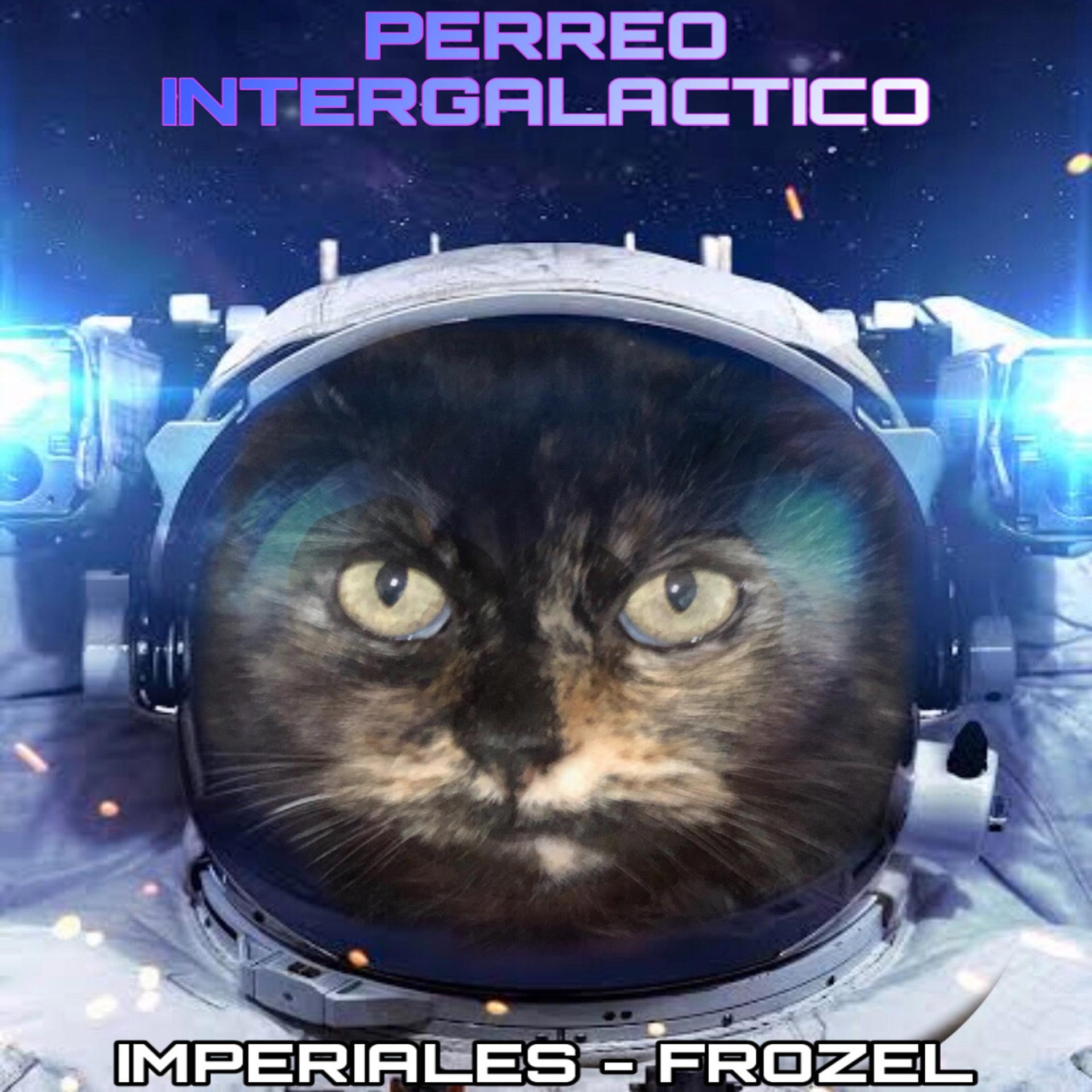 Постер альбома Perreo Intergalactico