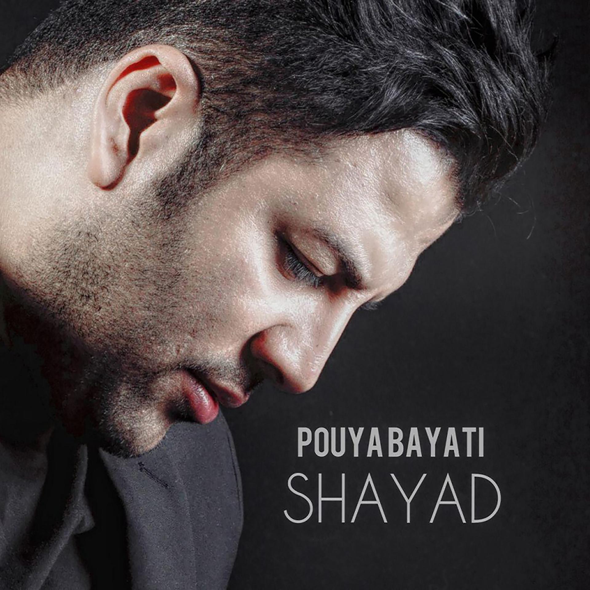 Постер альбома Shayad