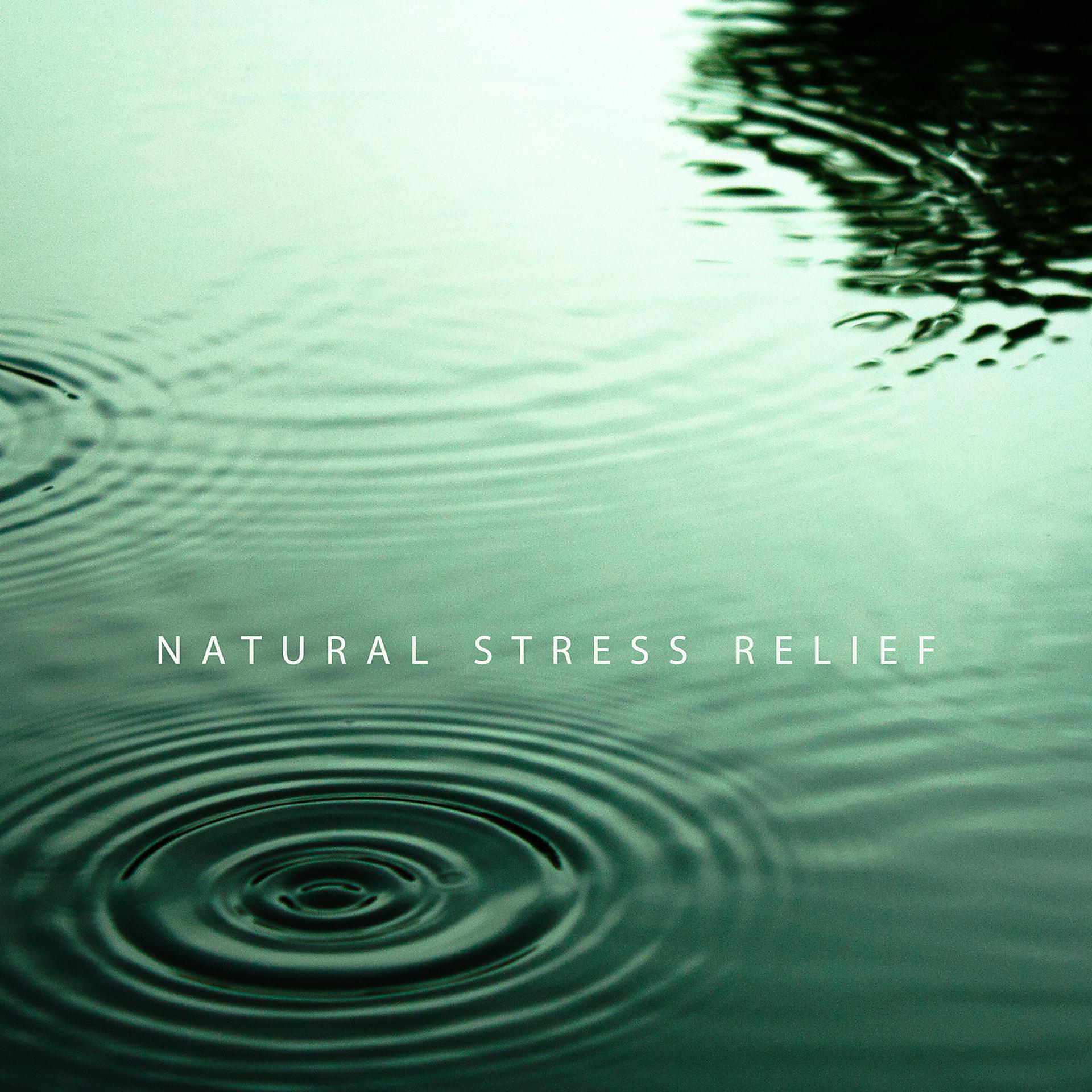Постер альбома Natural Stress Relief