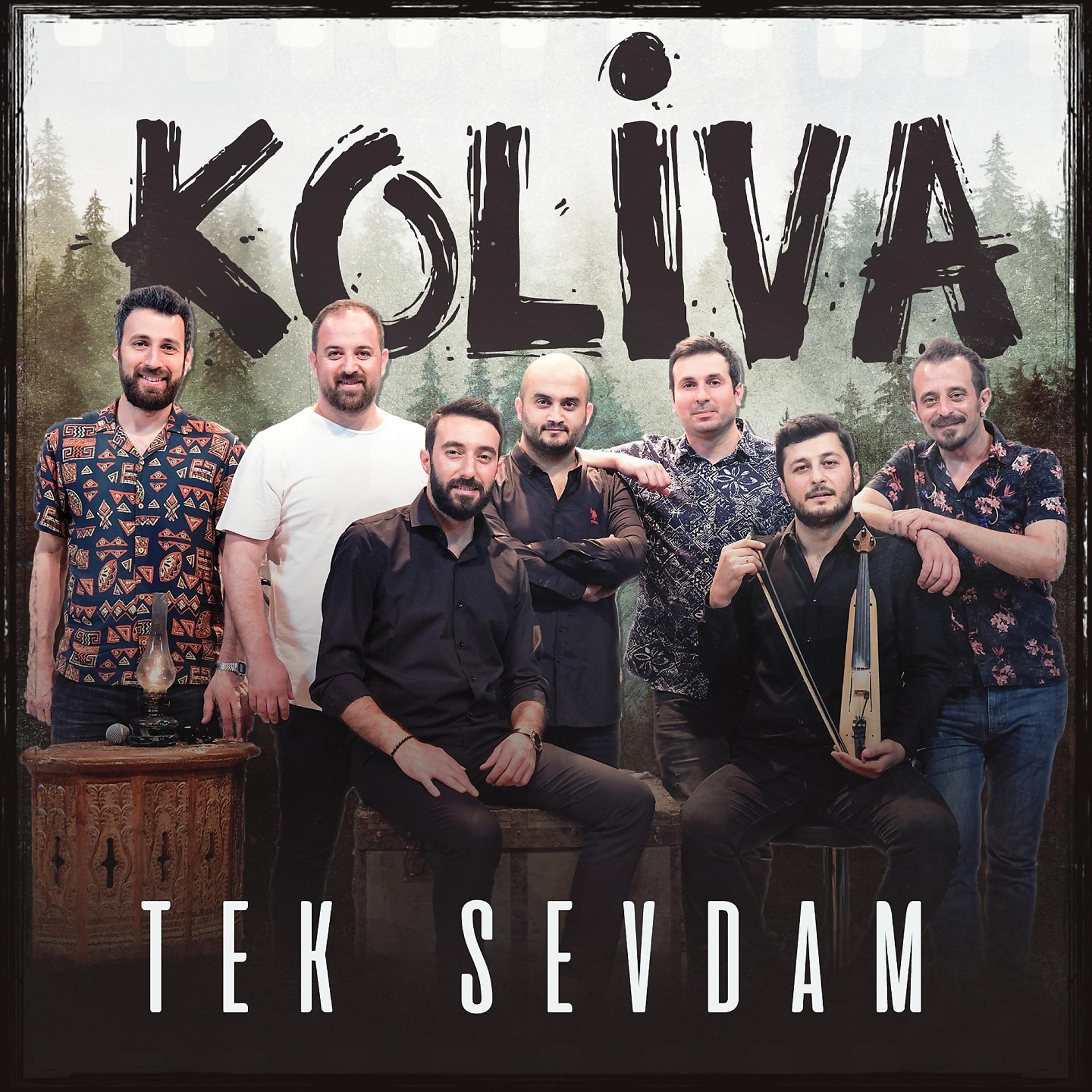 Постер альбома Tek Sevdam