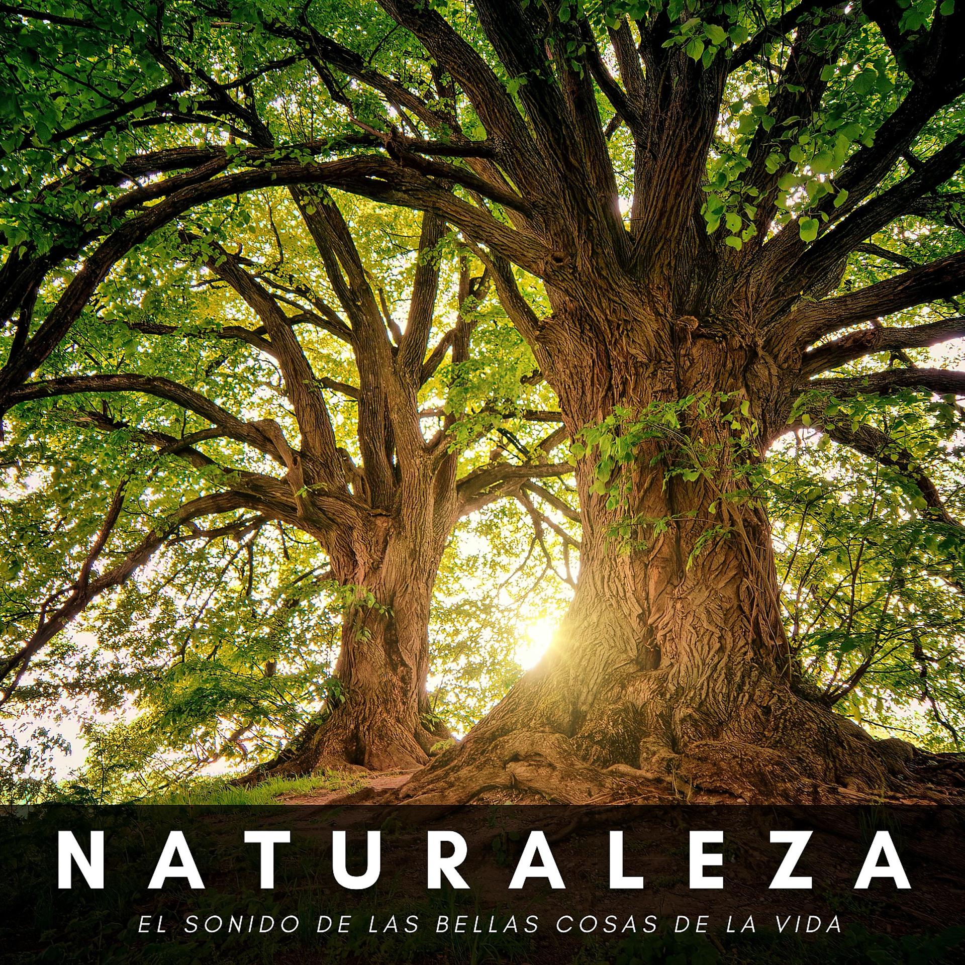 Постер альбома Naturaleza: El Sonido De Las Bellas Cosas De La Vida