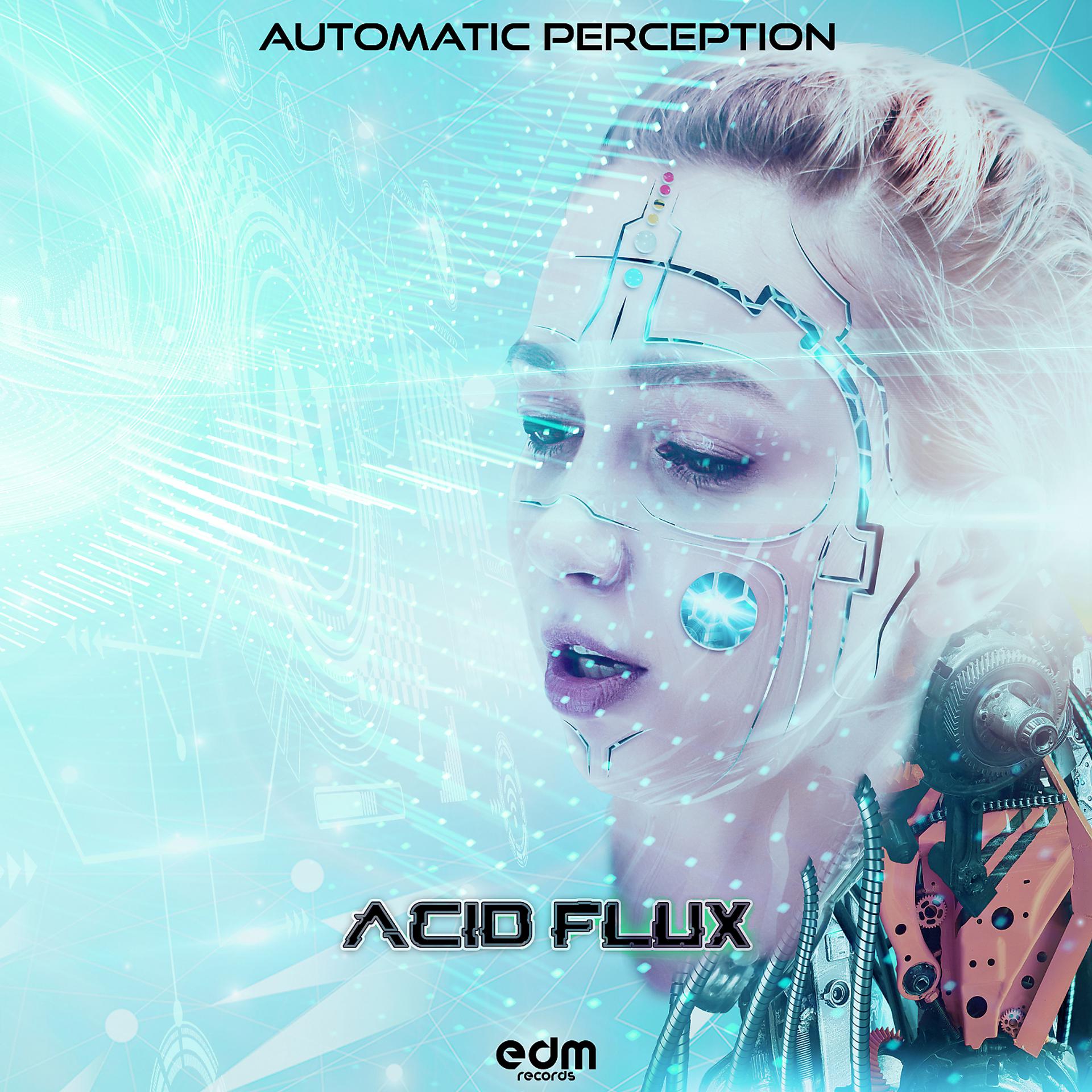 Постер альбома Automatic Perception
