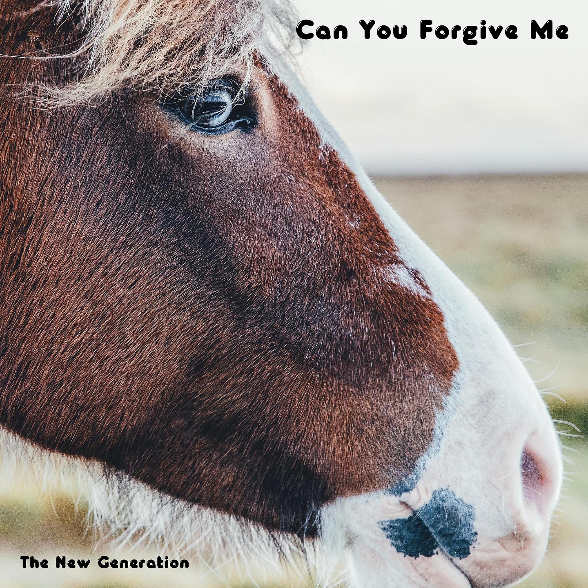 Постер альбома Can You Forgive Me