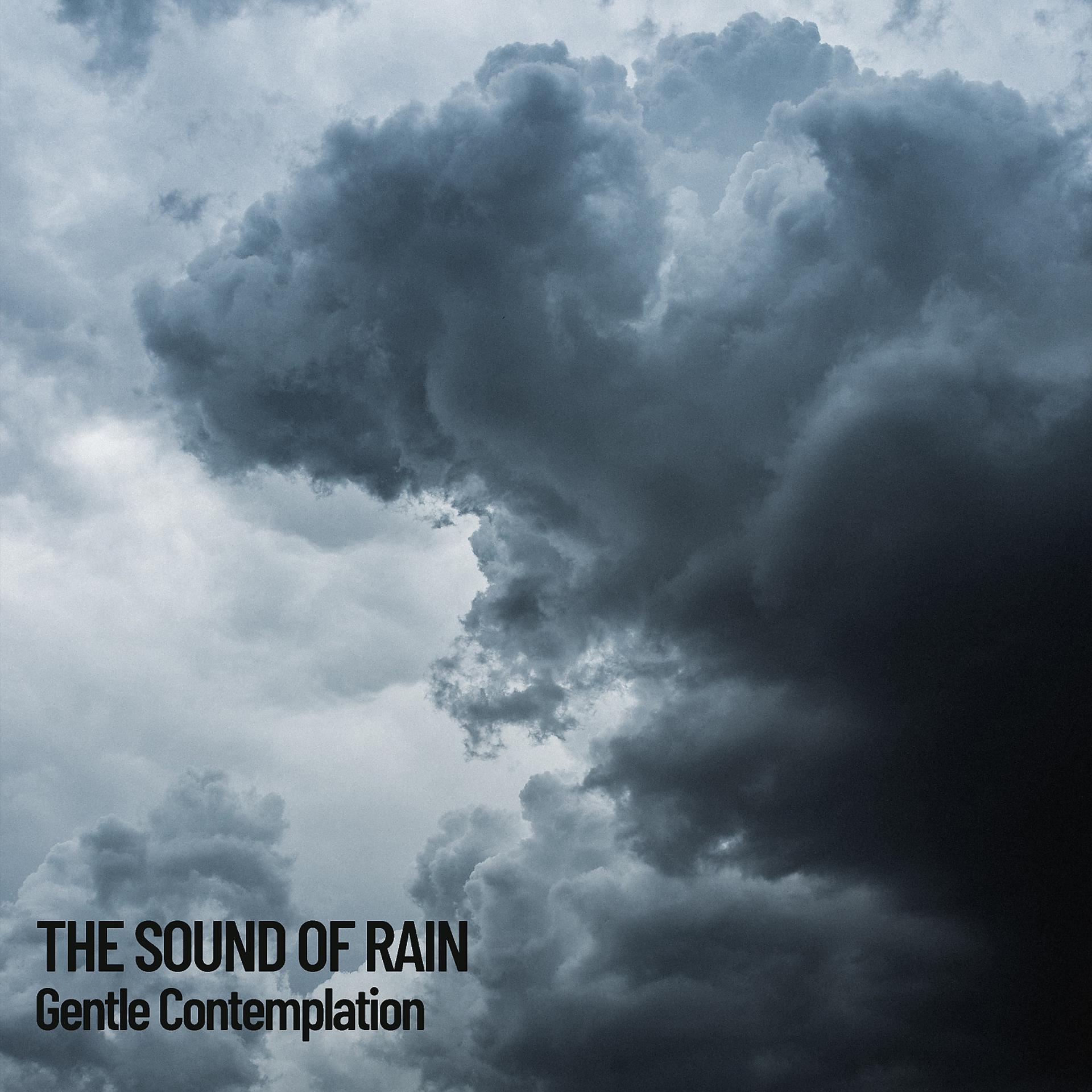 Постер альбома Rain Sounds: Drizzling Rain Sounds