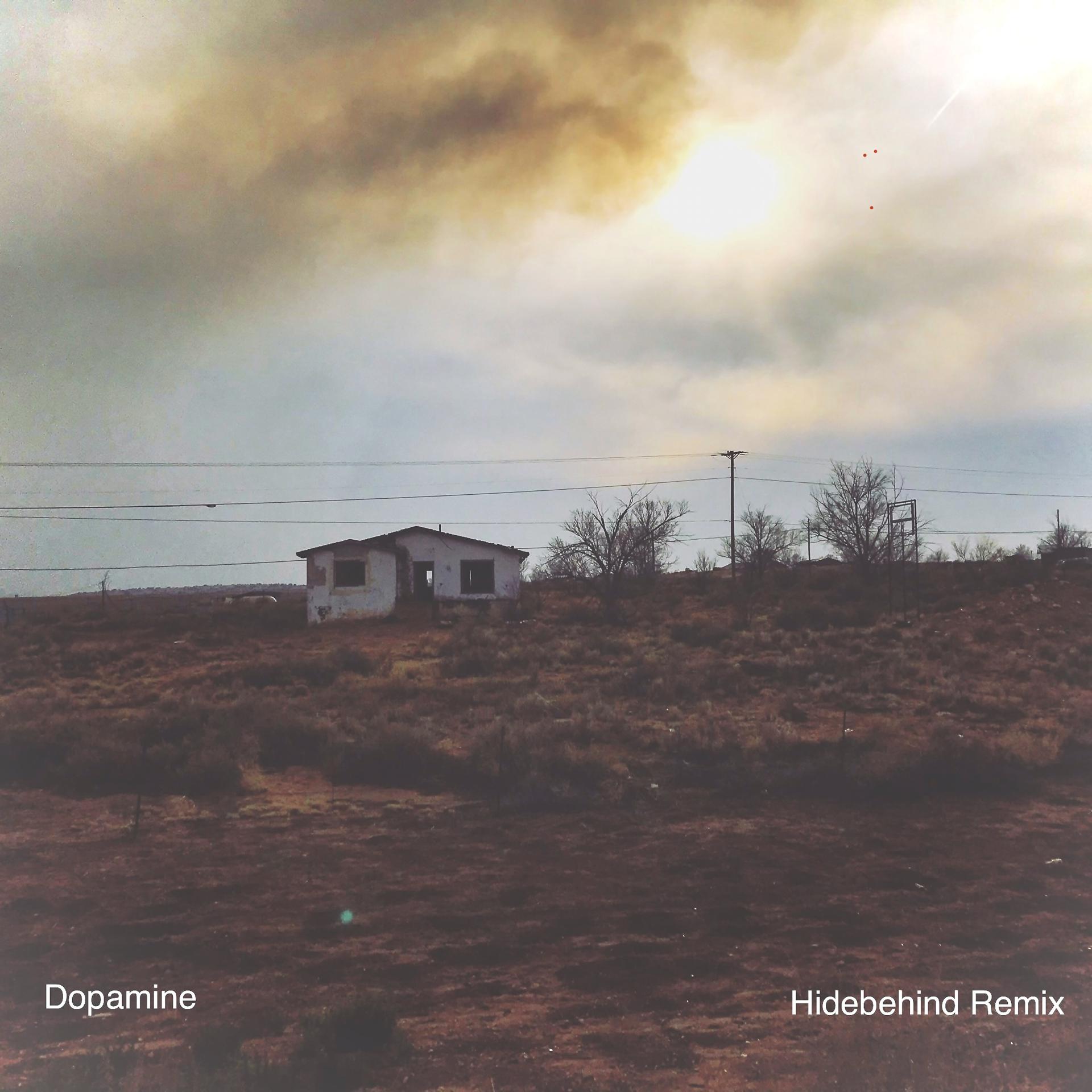 Постер альбома Dopamine (Hidebehind Remix)