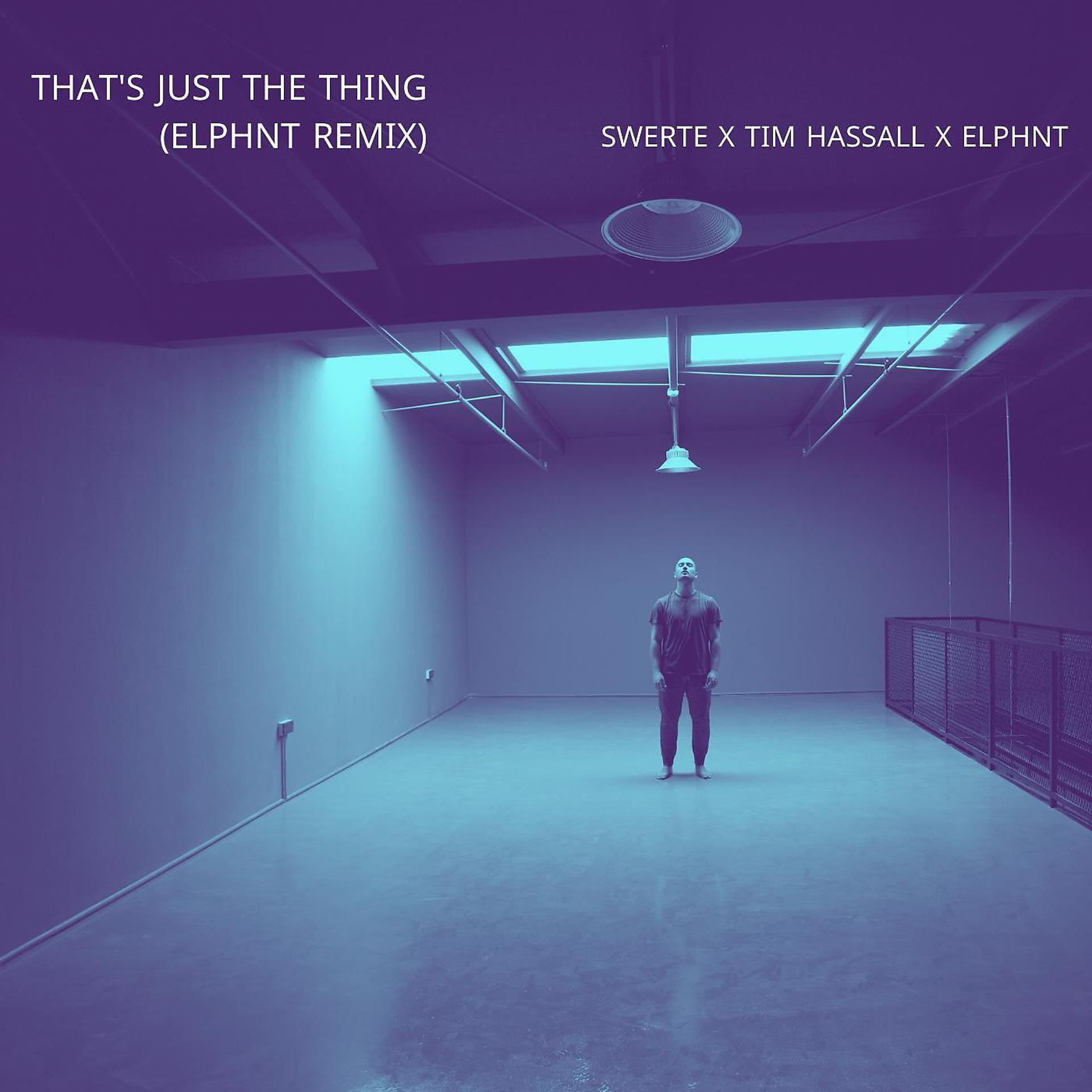 Постер альбома That's Just The Thing (ELPHNT Remix) (feat. Tim Hassall)