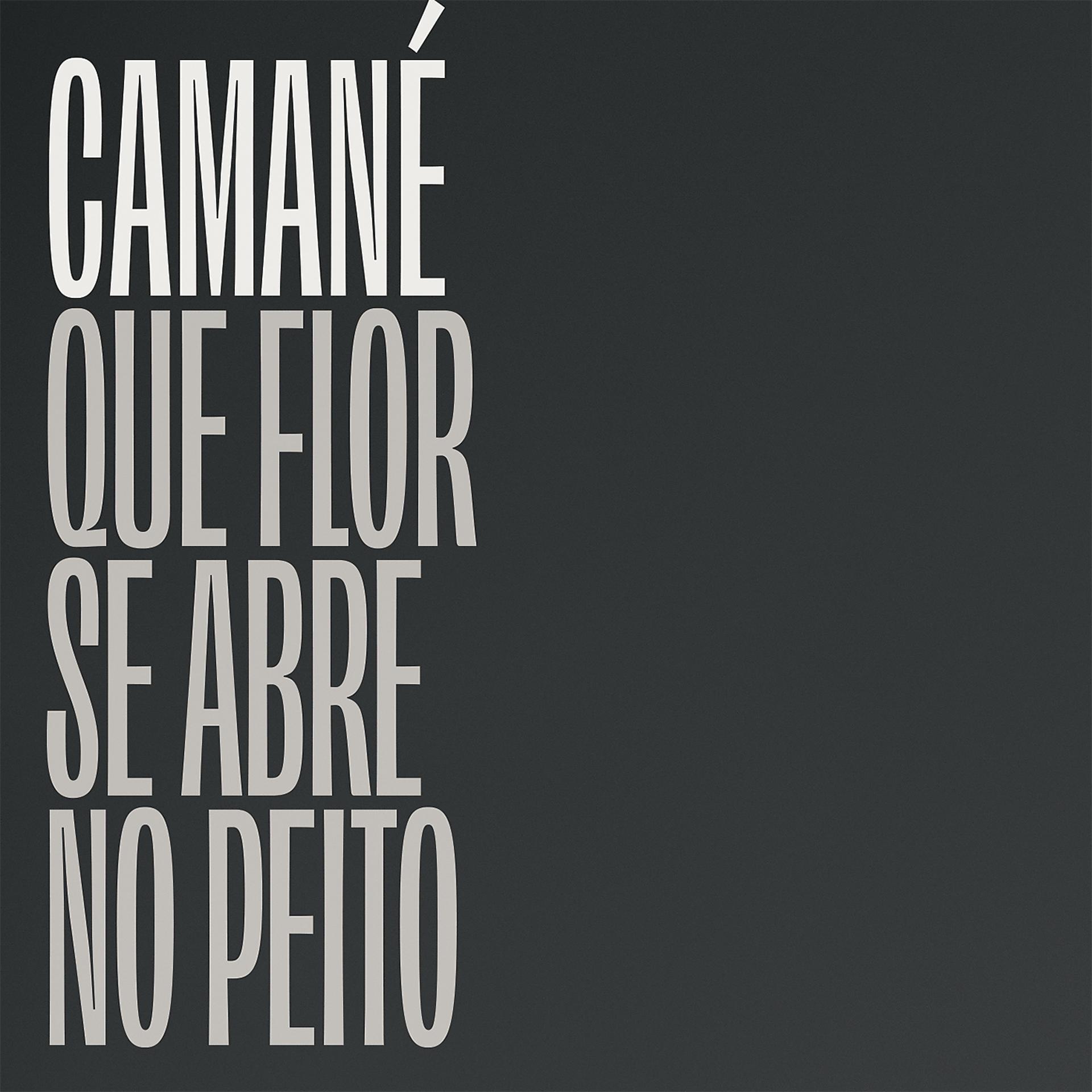 Постер альбома Que Flor Se Abre No Peito