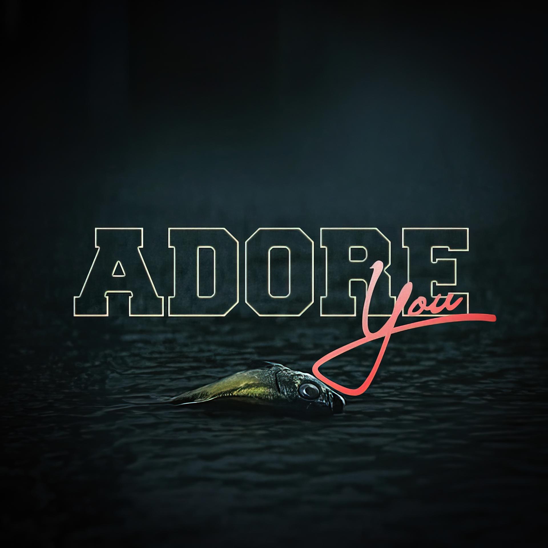 Постер альбома Adore You
