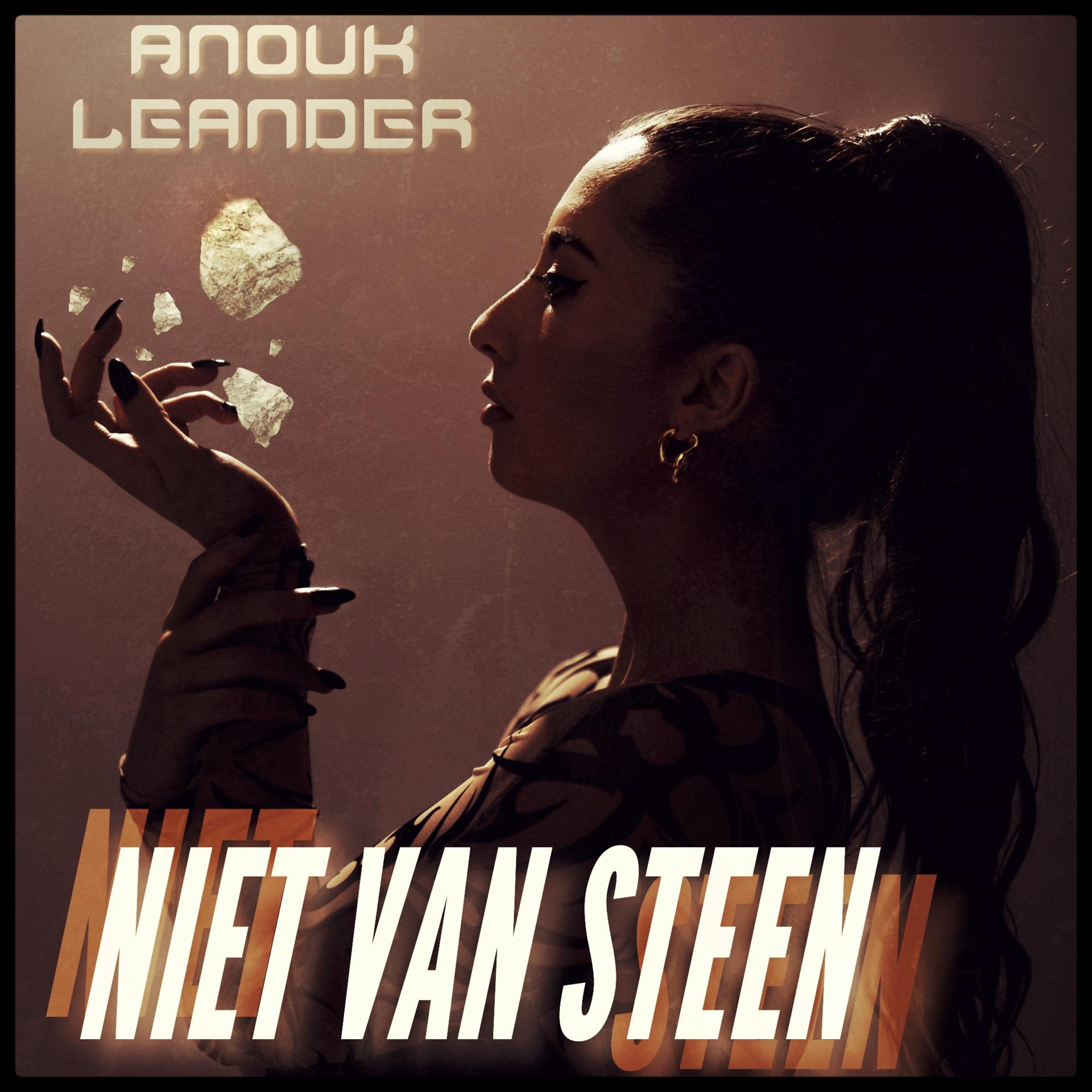Постер альбома Niet Van Steen