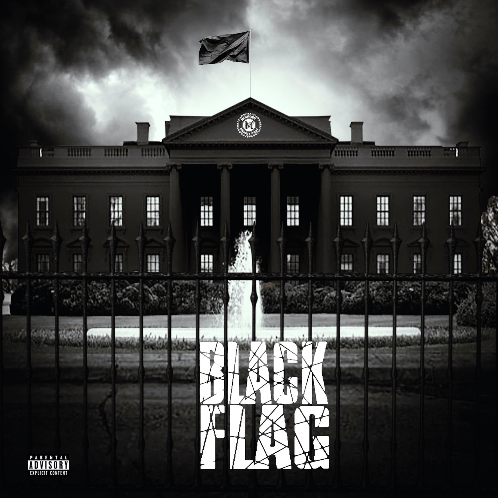 Постер альбома Black Flag