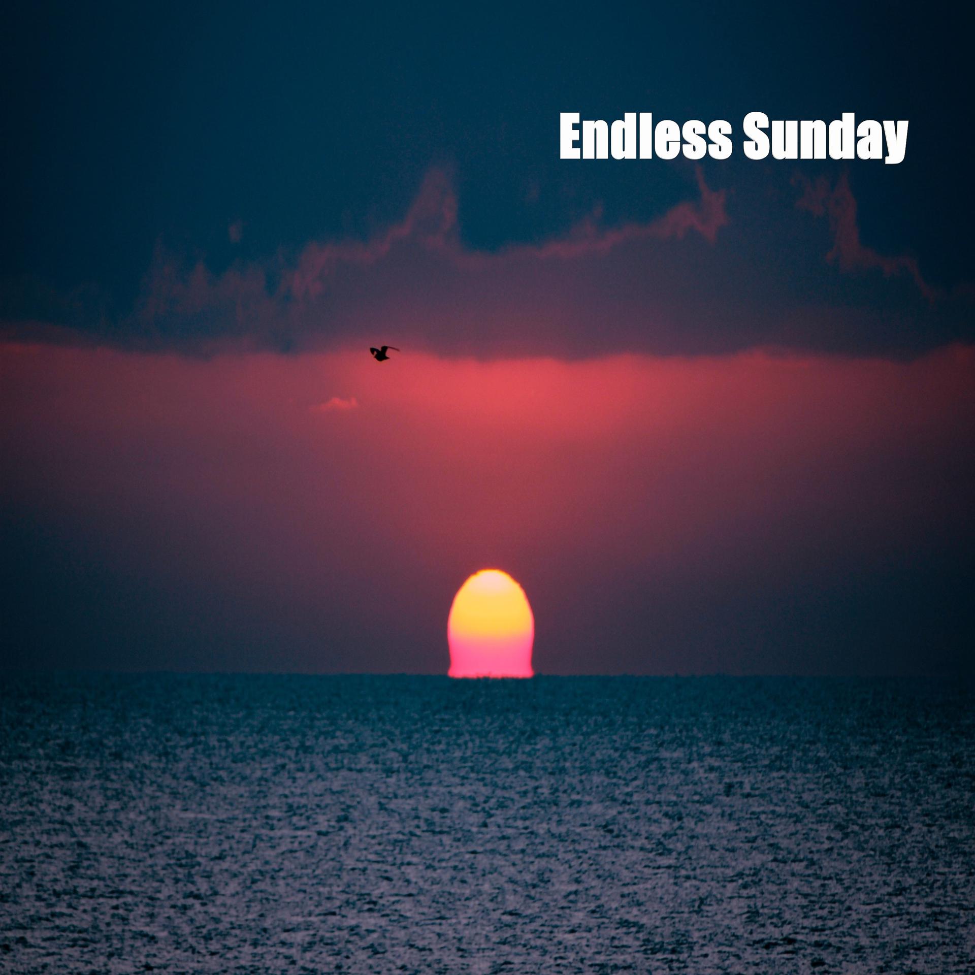 Постер альбома Endless Sunday