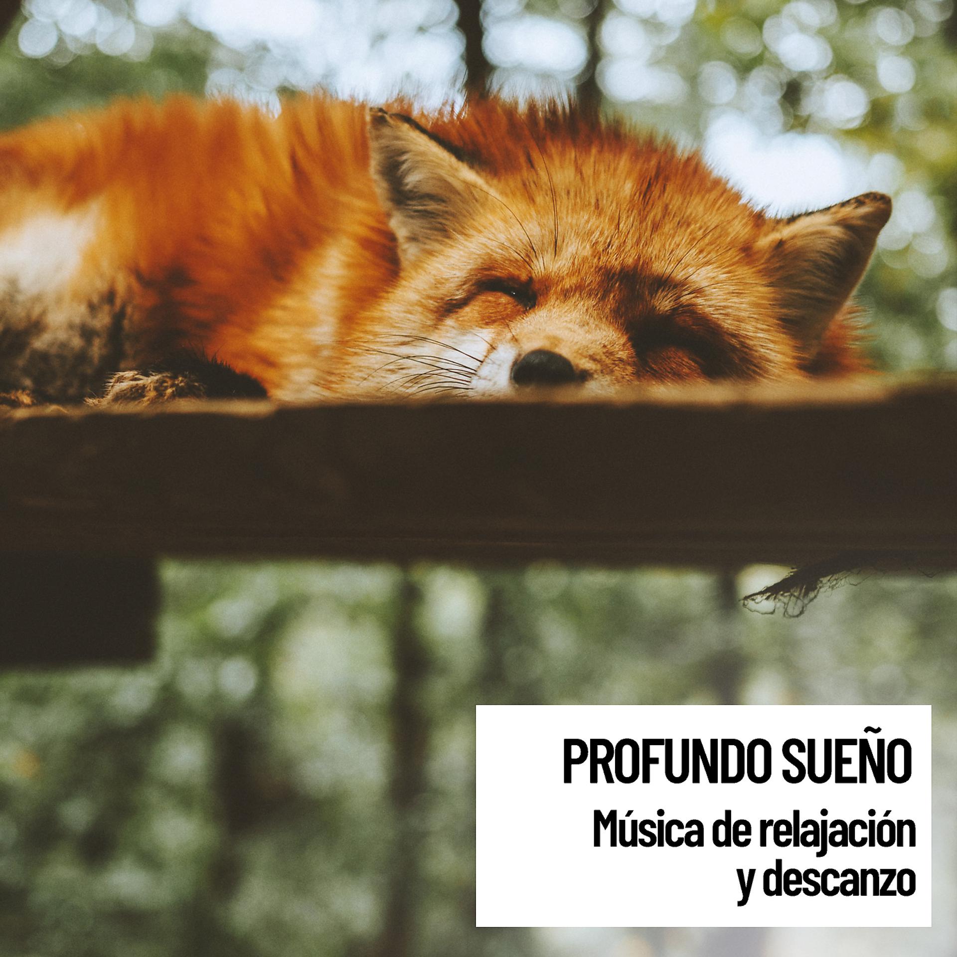 Постер альбома Horizonte en paz y su Profundo sueno: musica de relajacion y descanzo