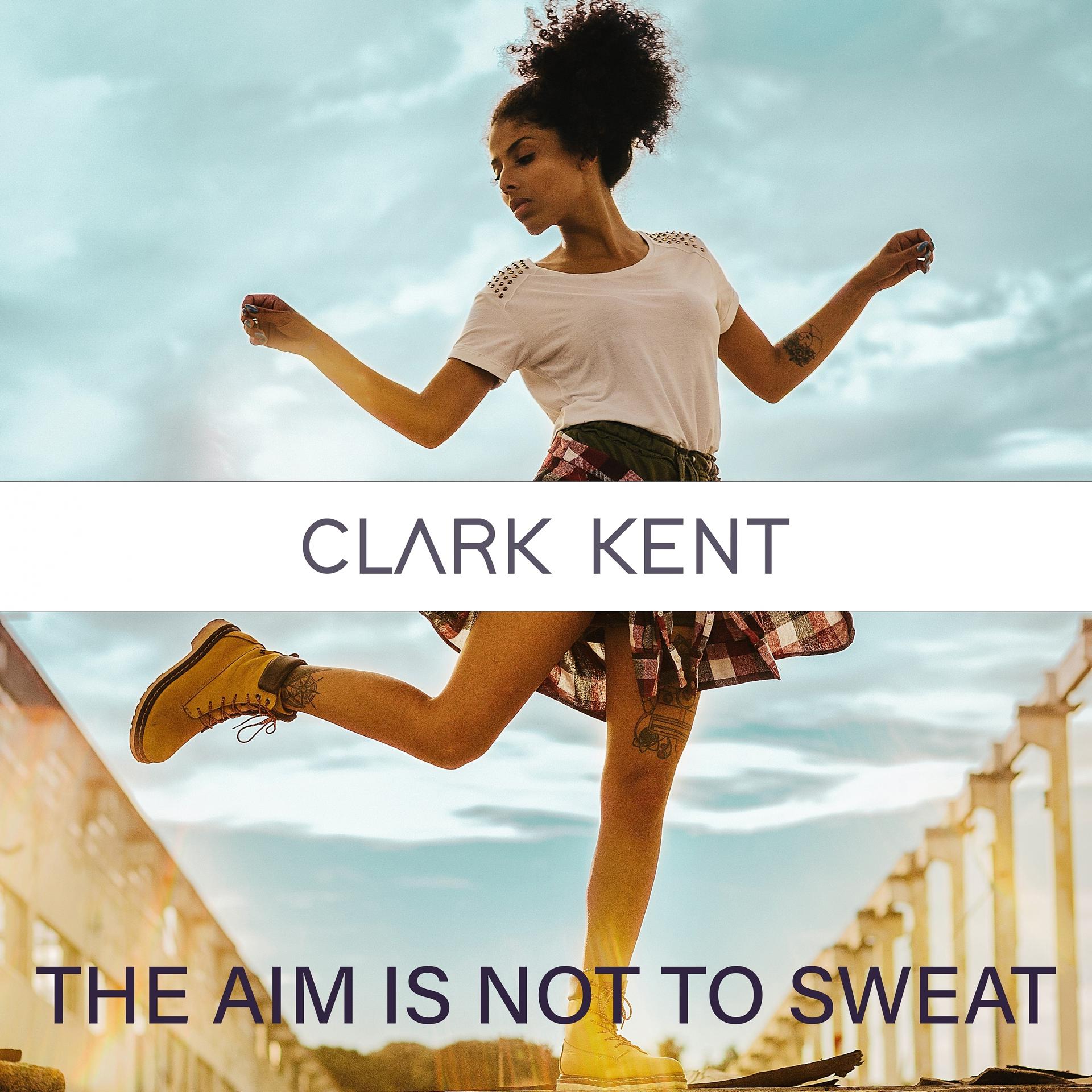 Постер альбома The Aim is Not to Sweat