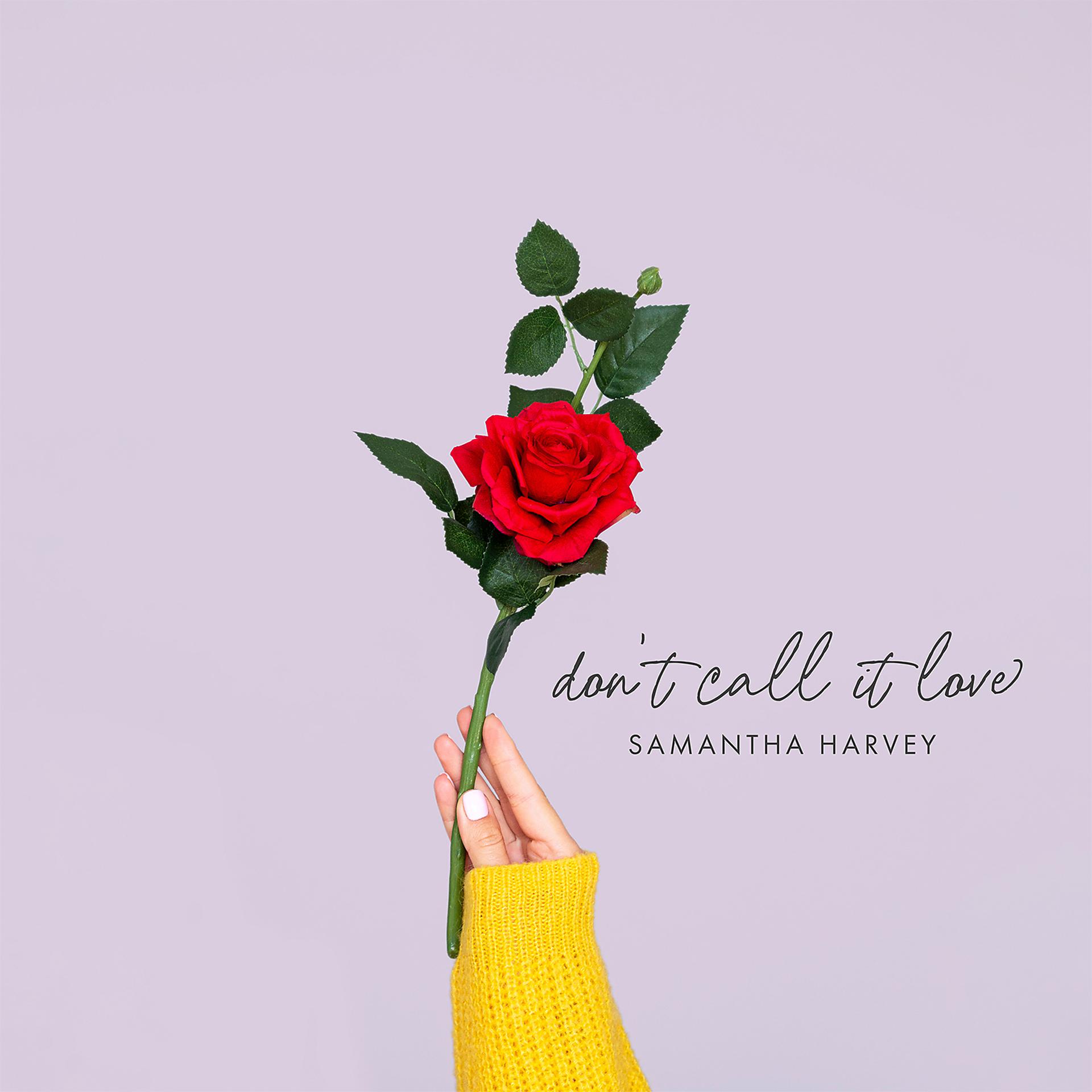 Постер альбома Don't Call It Love