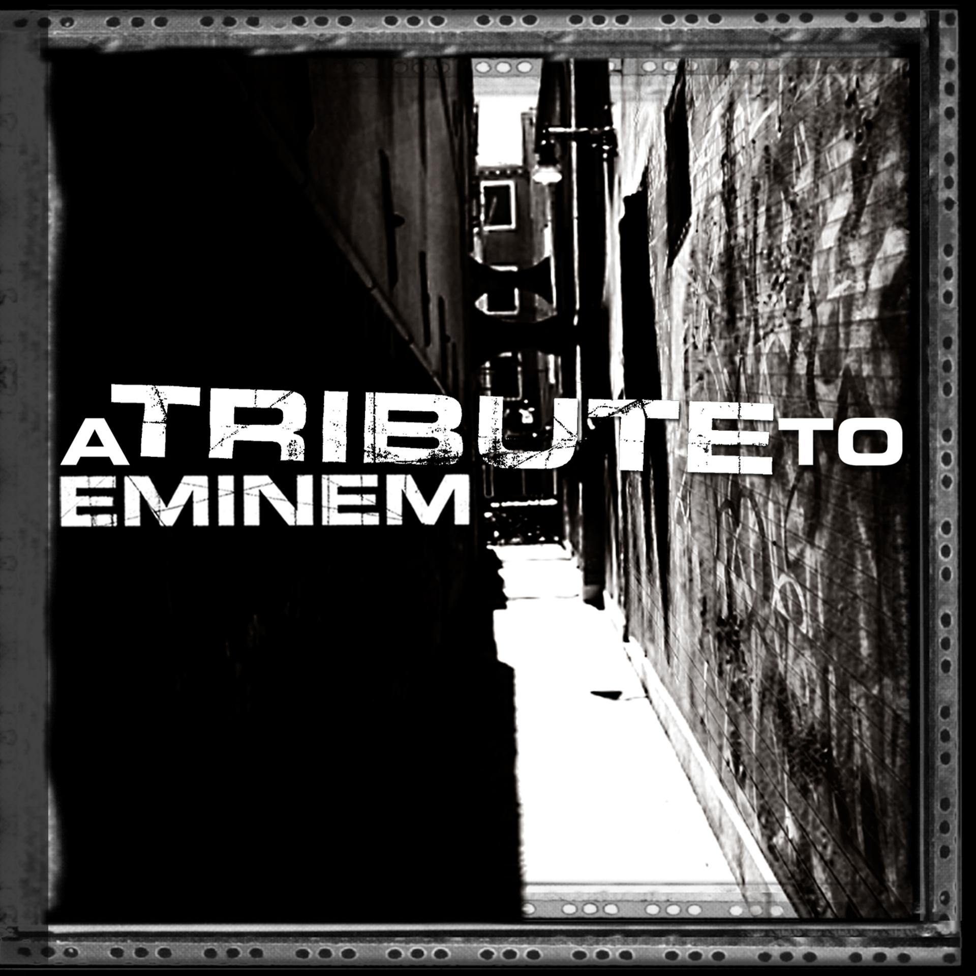 Постер альбома A Tribute To Eminem
