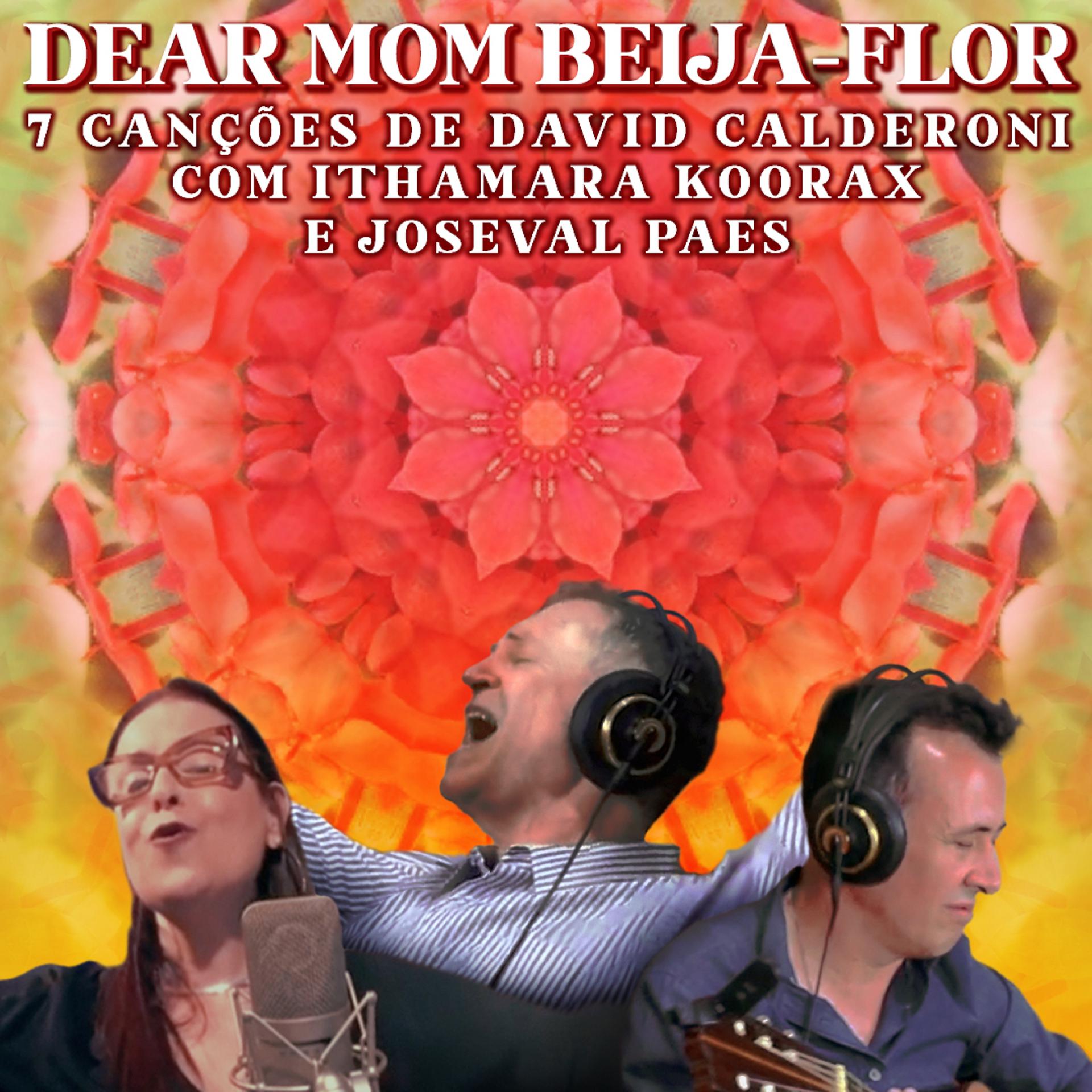 Постер альбома Dear Mom Beija-Flor