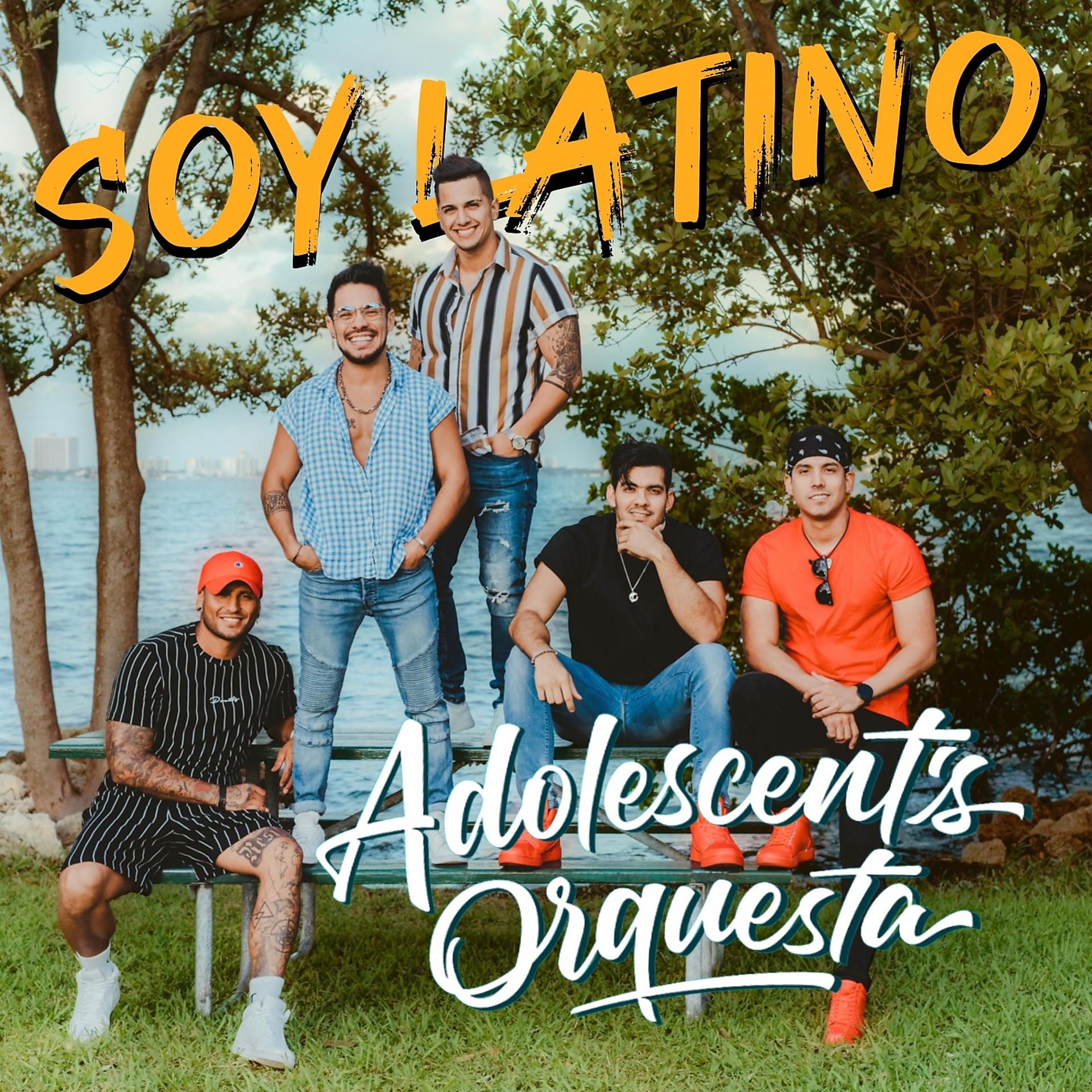 Постер альбома Soy Latino