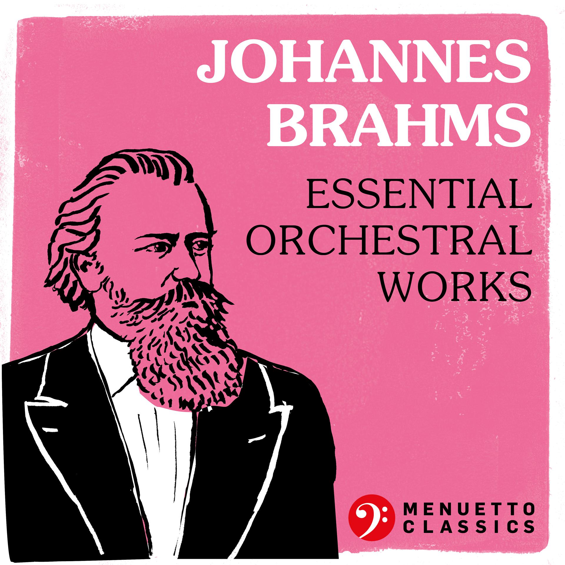 Постер альбома Johannes Brahms: Essential Orchestral Works