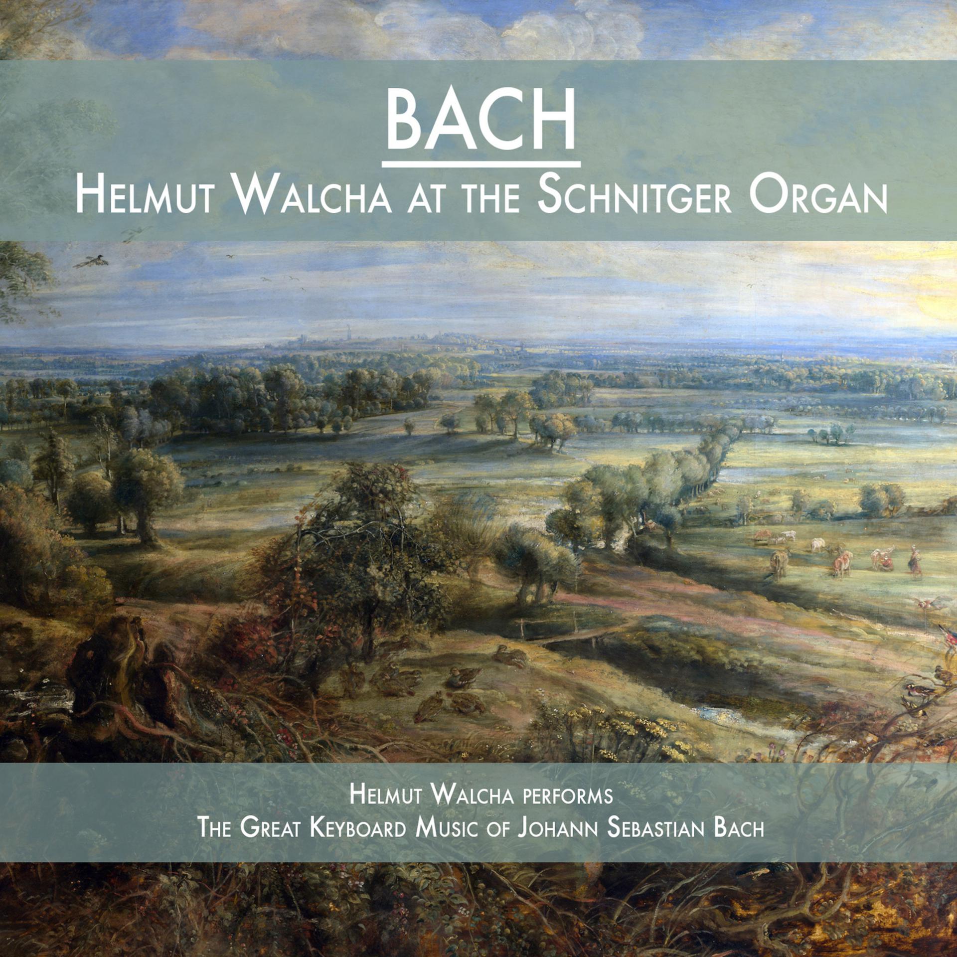 Постер альбома Helmut Walcha at the Schnitger Organ