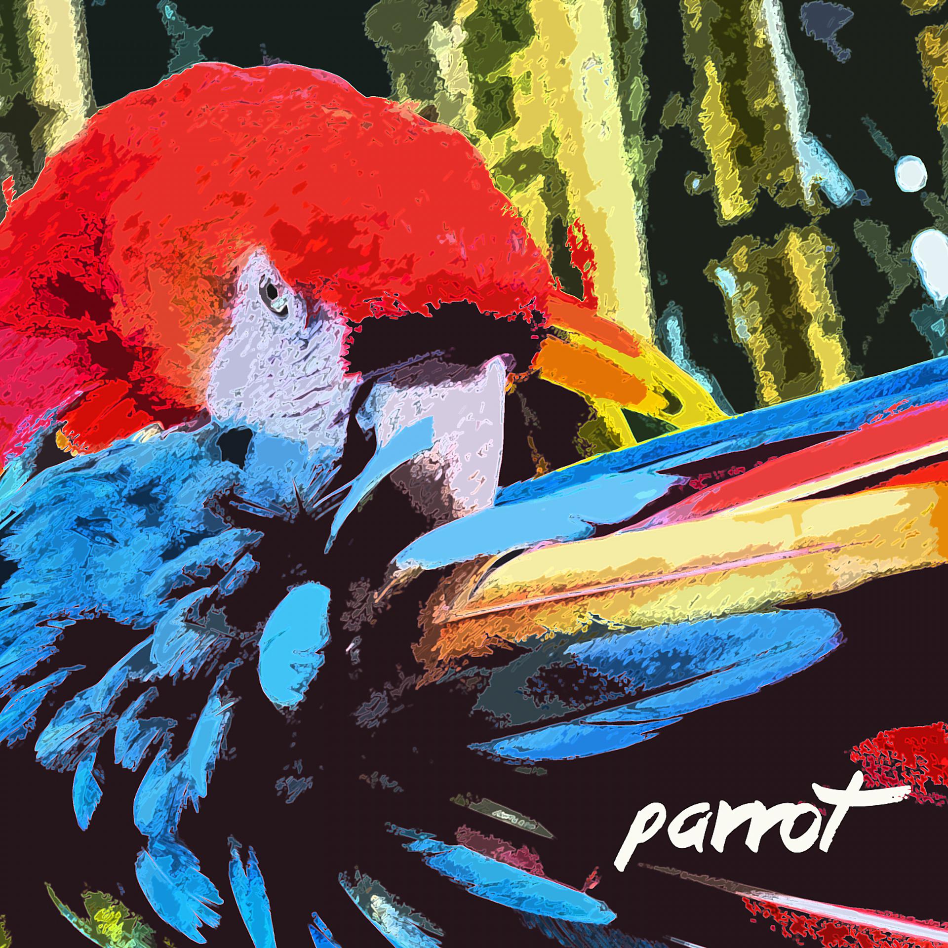 Постер альбома Parrot