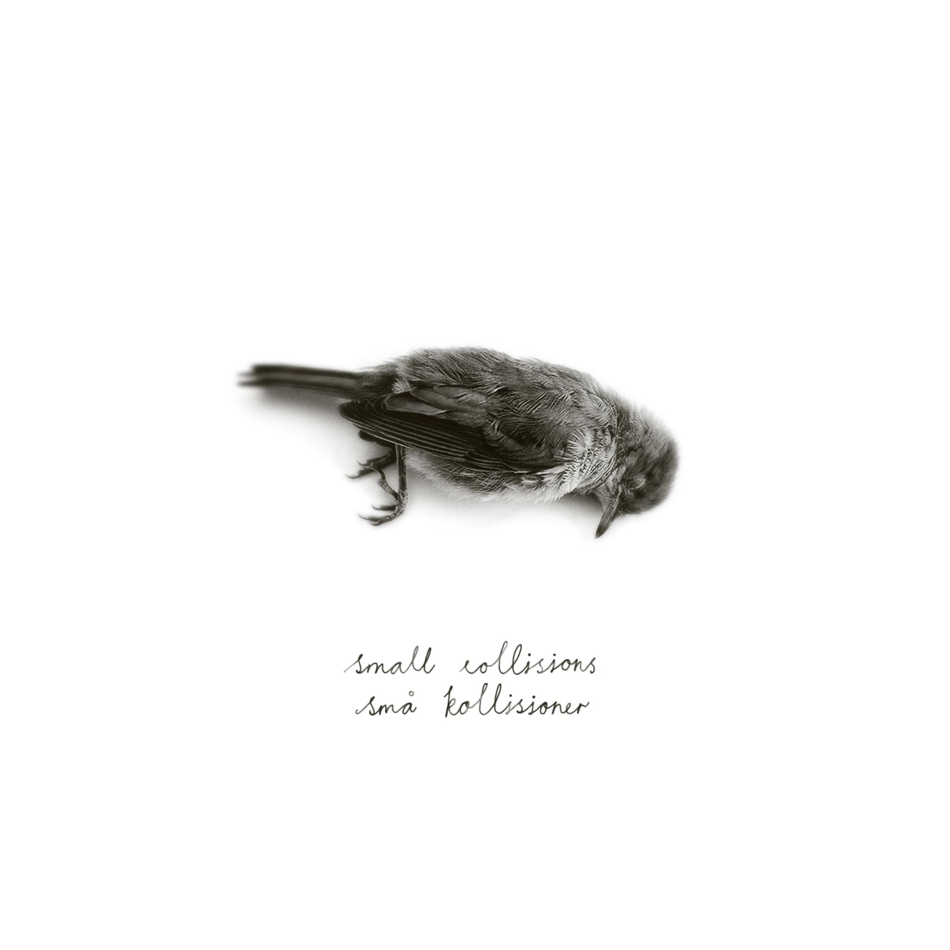 Постер альбома Small Collisions/Små Kollisioner