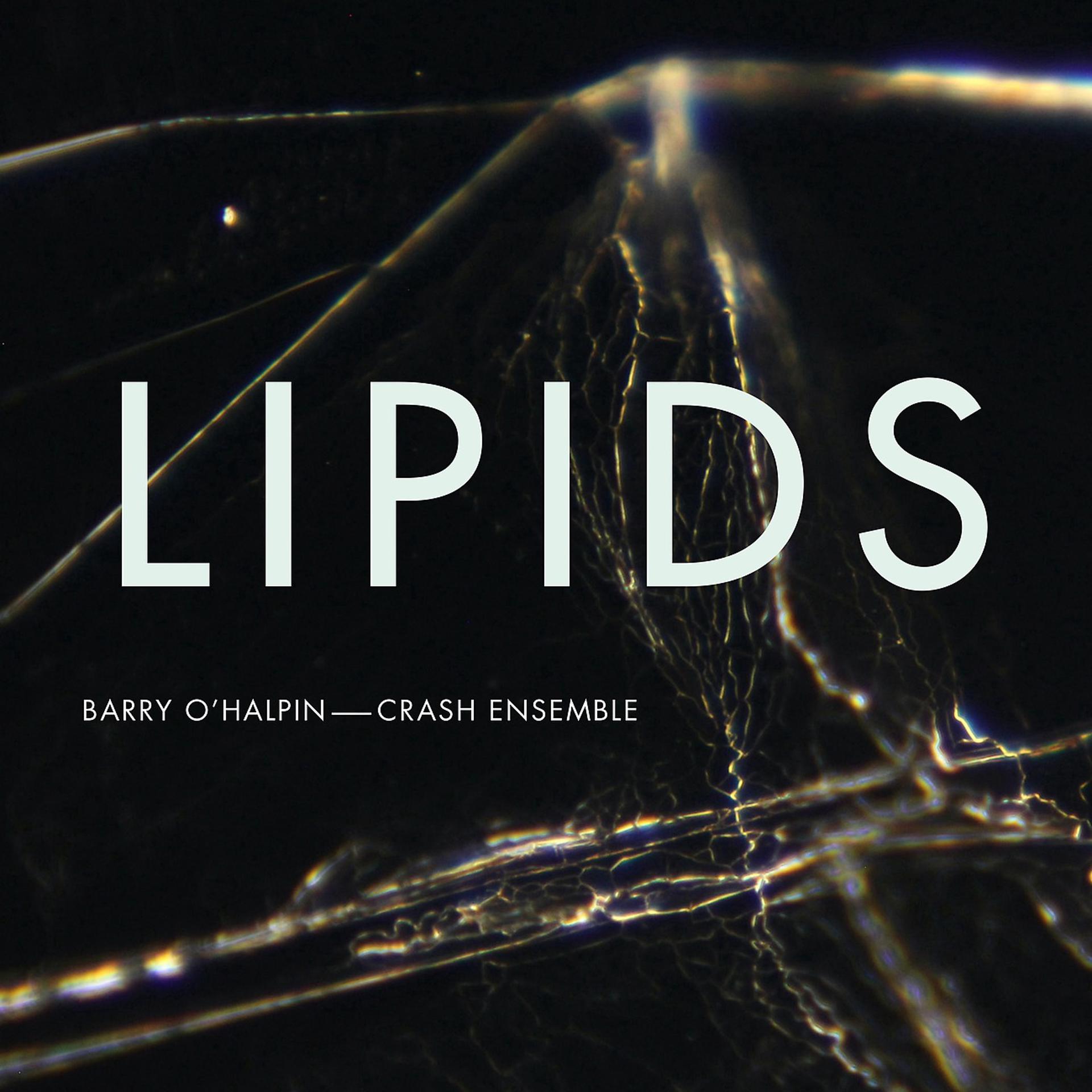 Постер альбома Lipids
