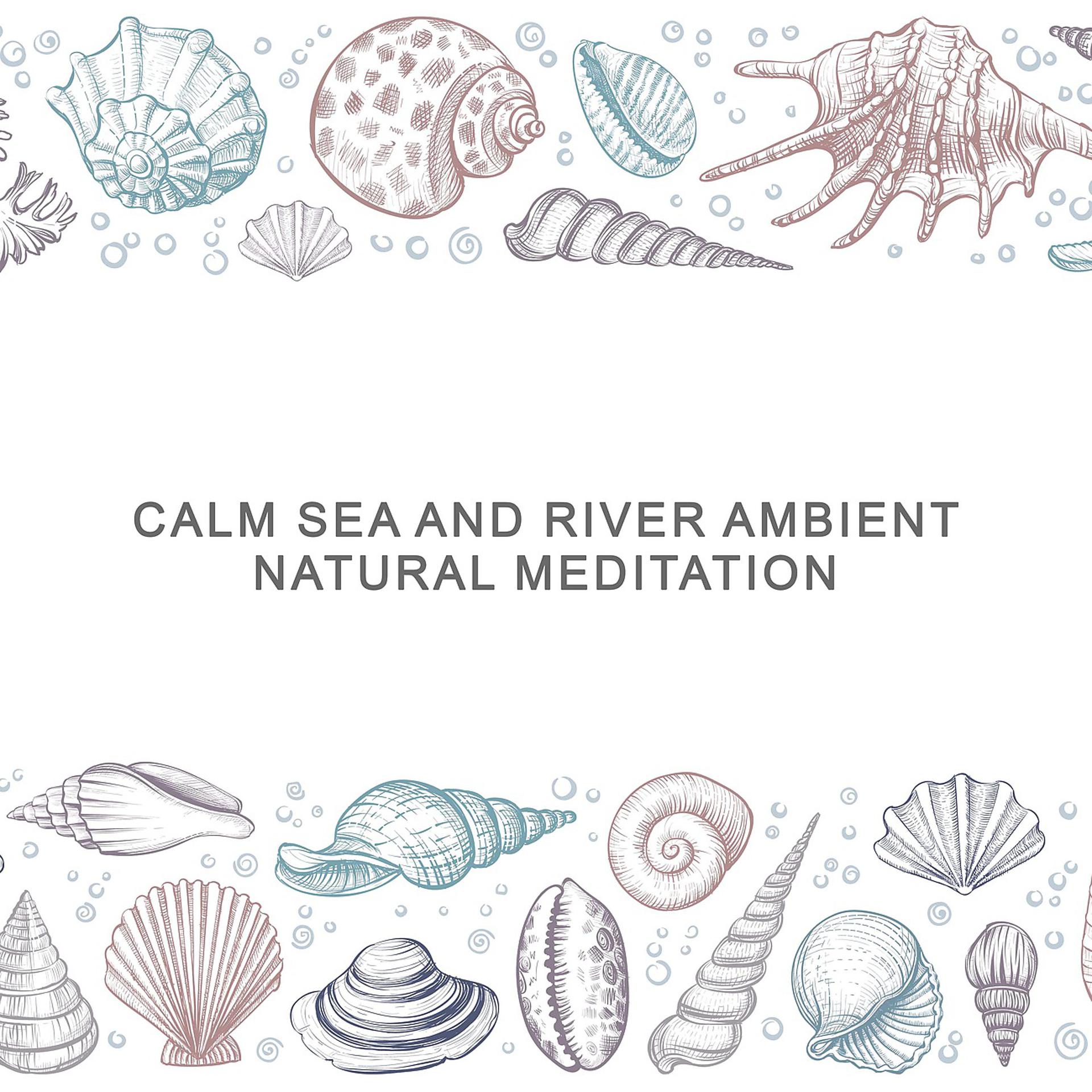 Постер альбома Calm Sea and River Ambient