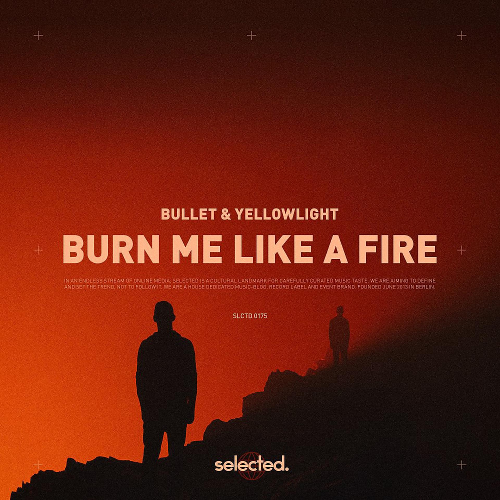 Постер альбома Burn Me Like a Fire