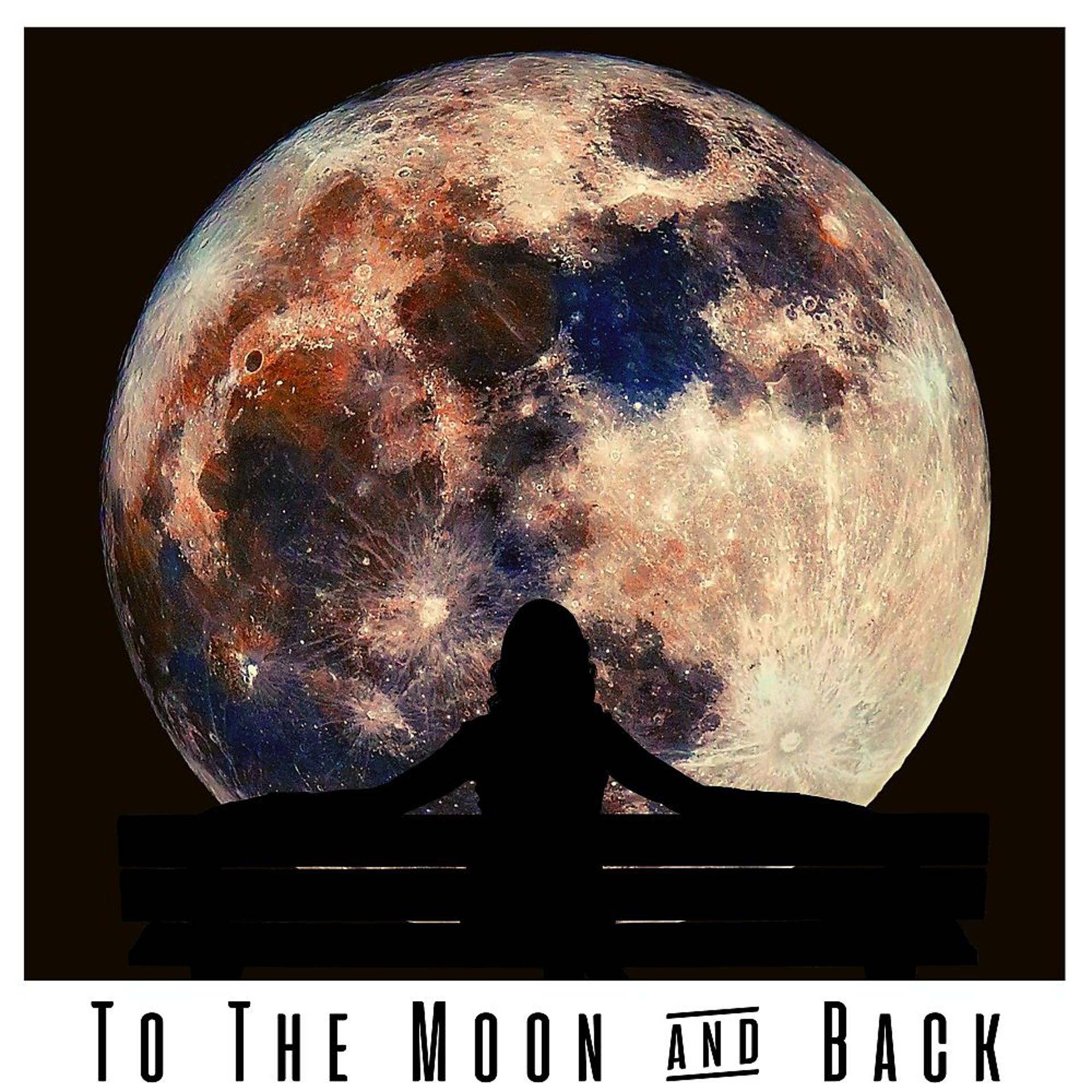 Постер альбома To the Moon & Back