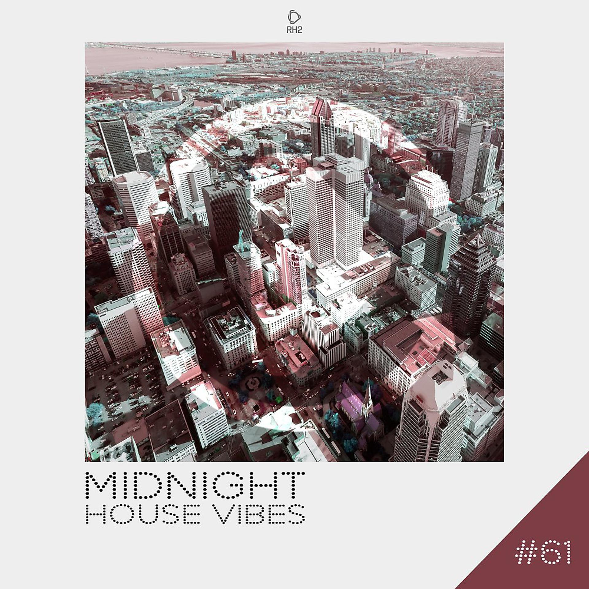 Постер альбома Midnight House Vibes, Vol. 61