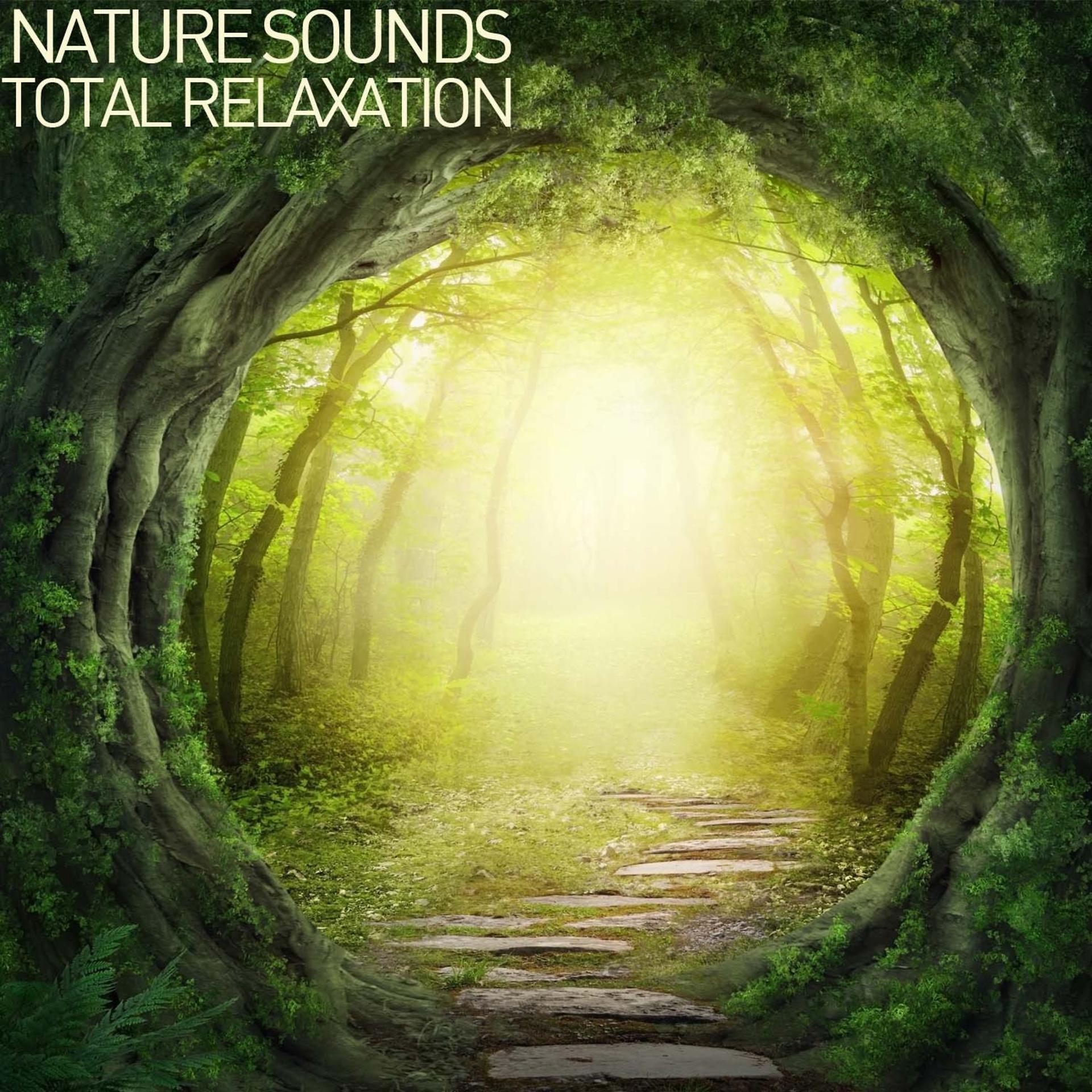 Постер альбома Nature Sounds: Total Relaxation