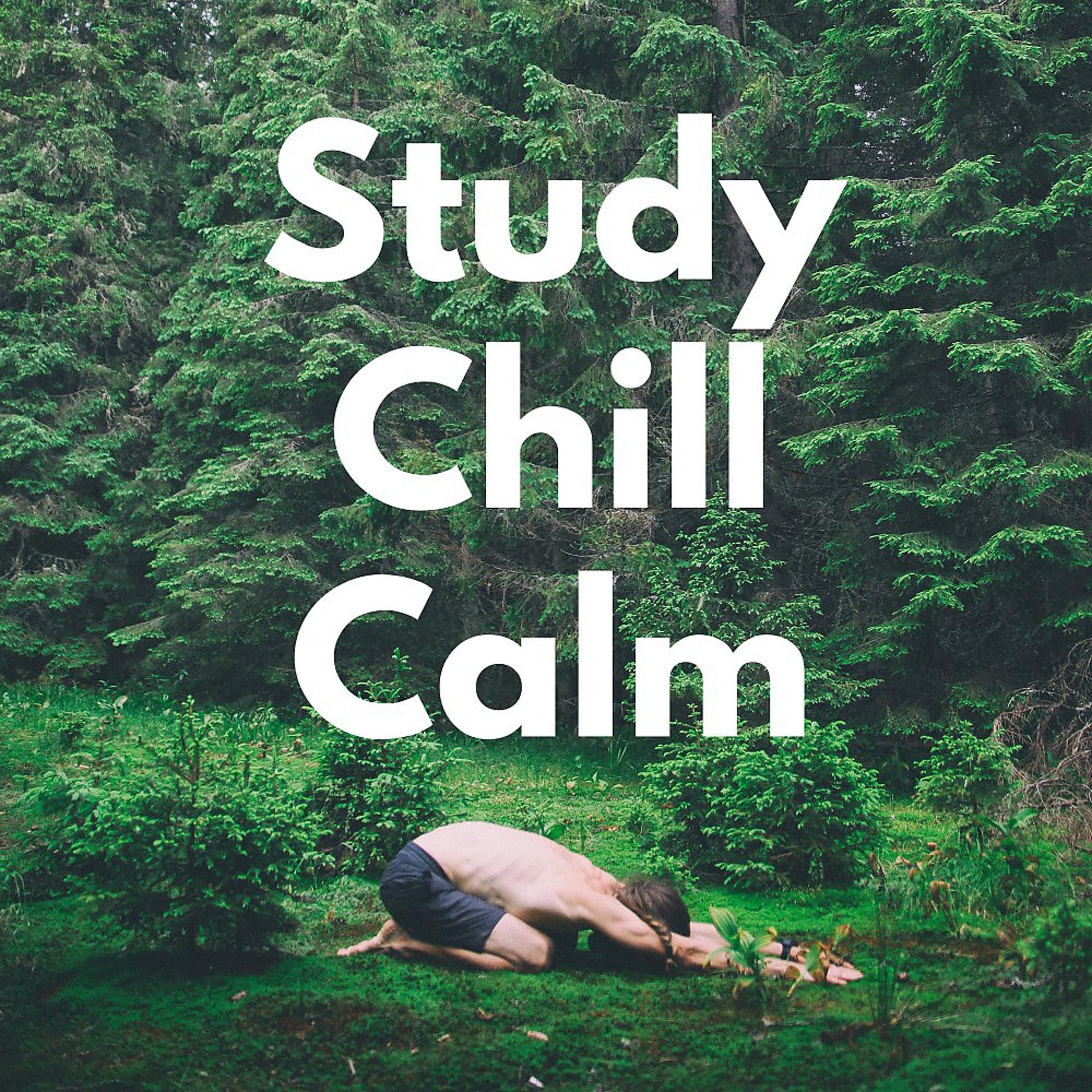 Постер альбома Study, Chill, Calm