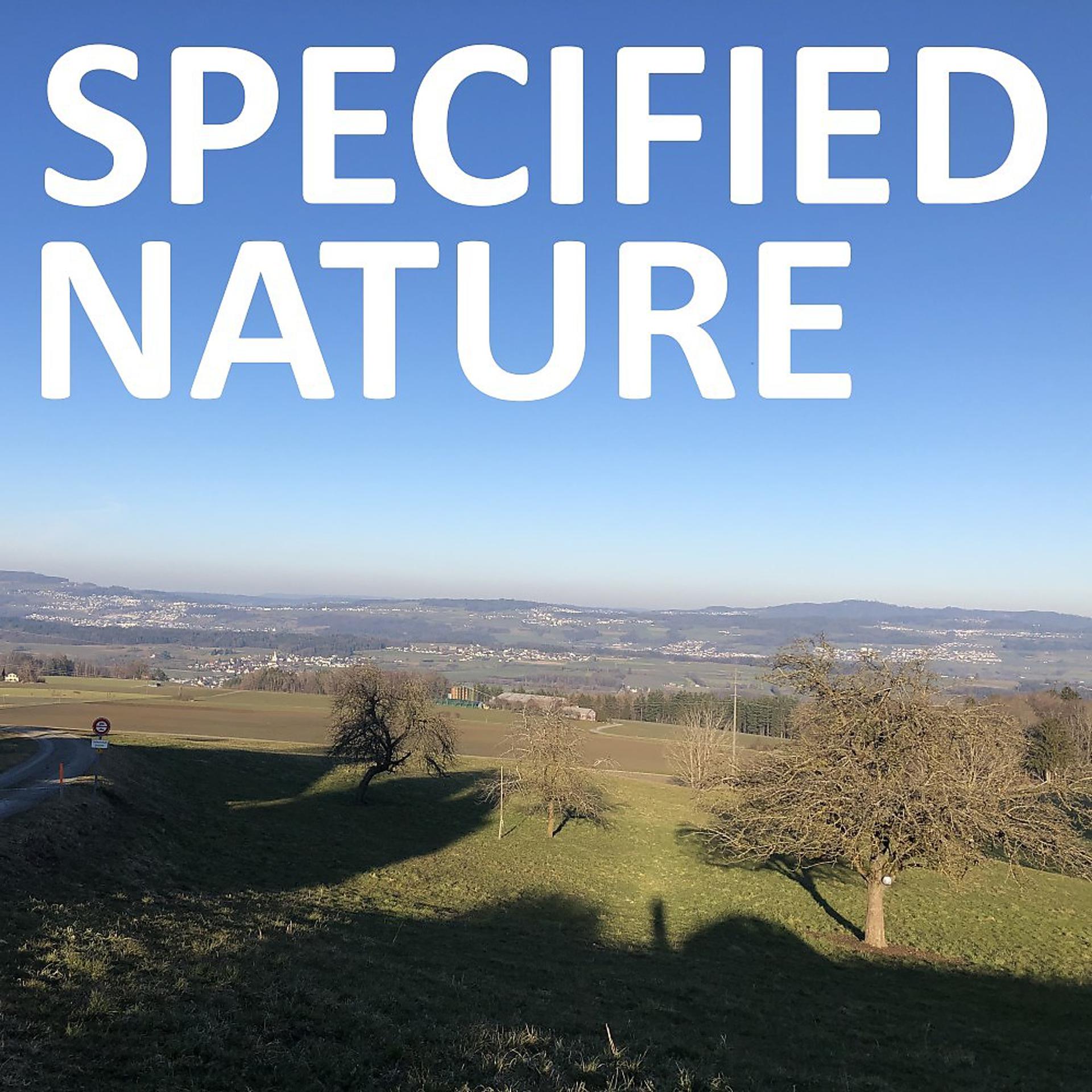 Постер альбома Specified Nature