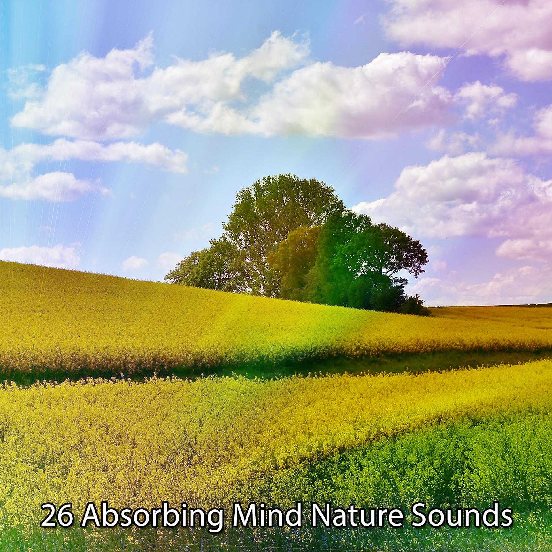 Постер альбома 26 Захватывающих звуков природы