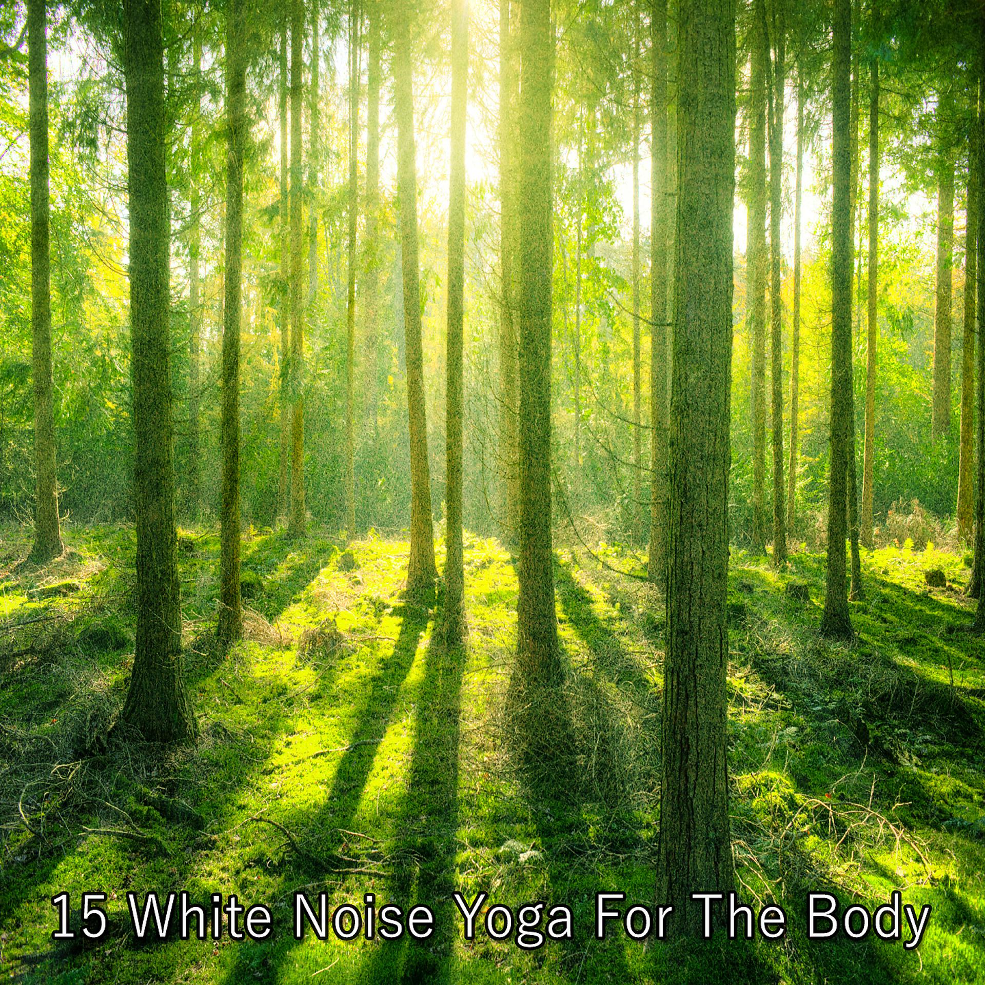 Постер альбома 15 Йога белого шума для тела