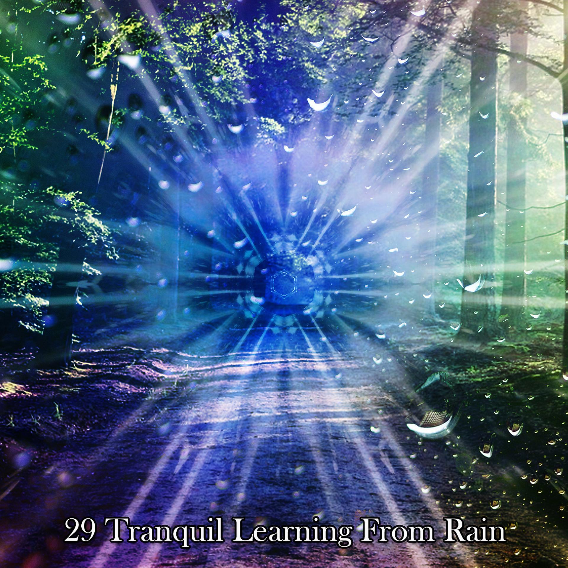 Постер альбома 29 Спокойное обучение у дождя
