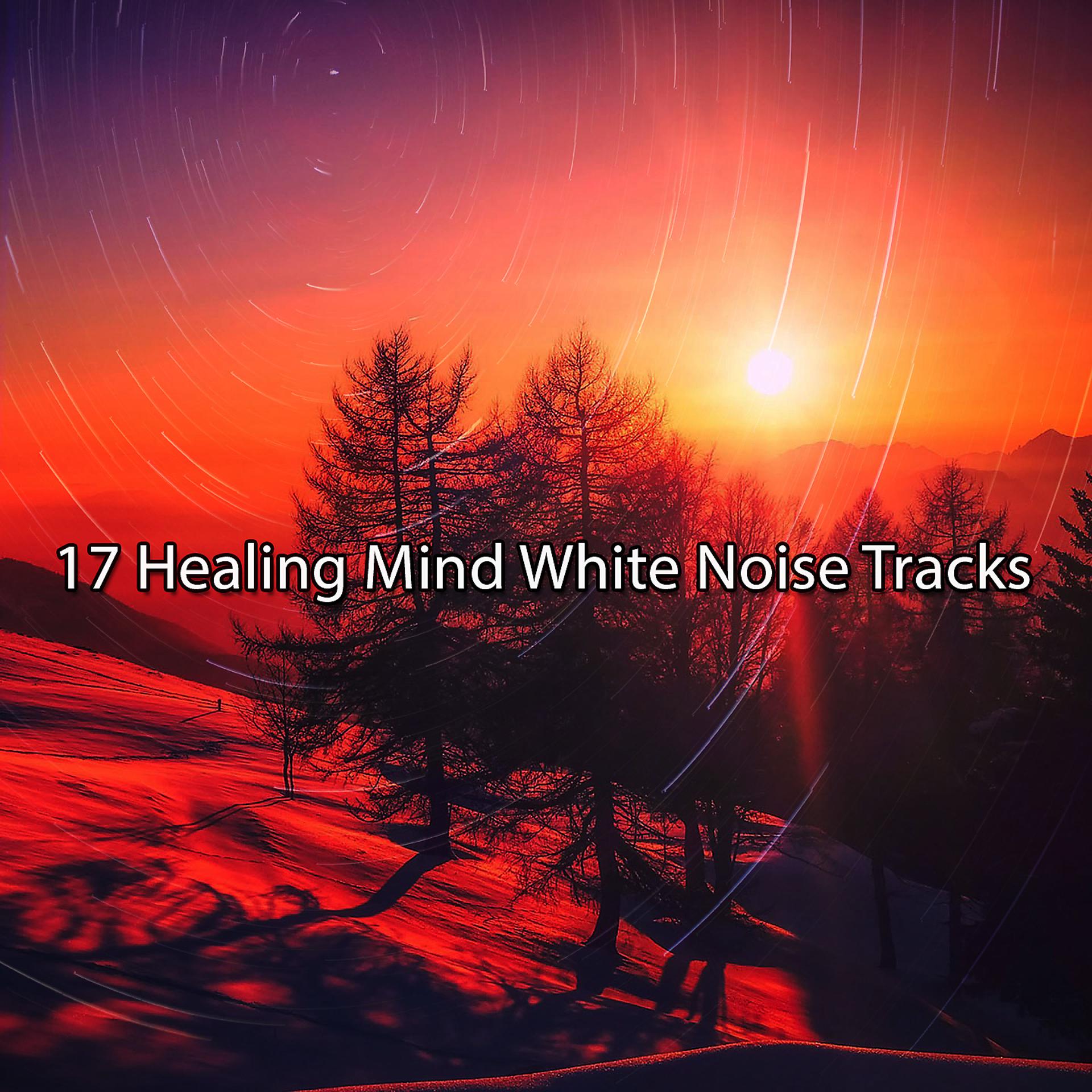 Постер альбома 17 треков Healing Mind White Noise